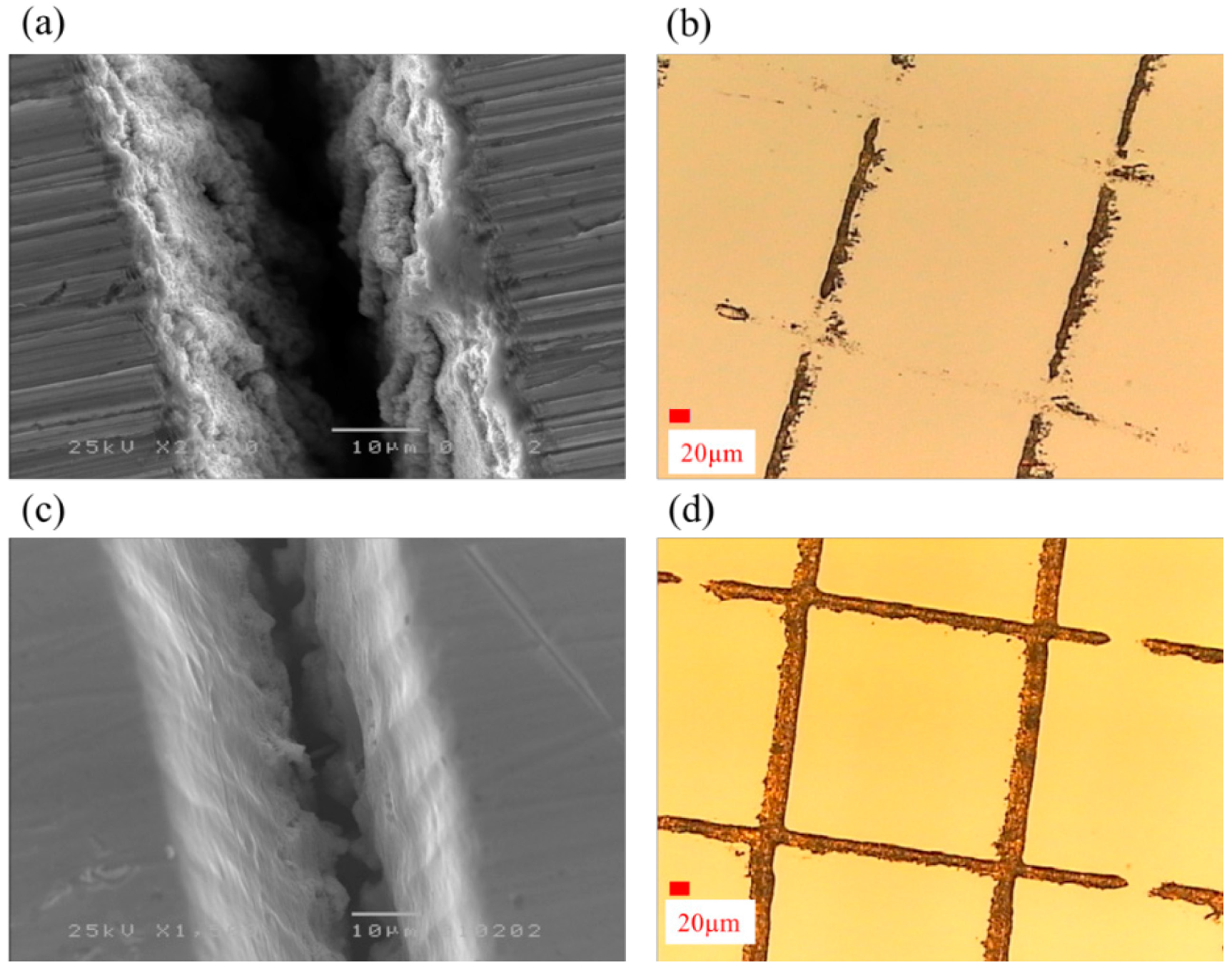 Micromachines 06 01433 g006 1024