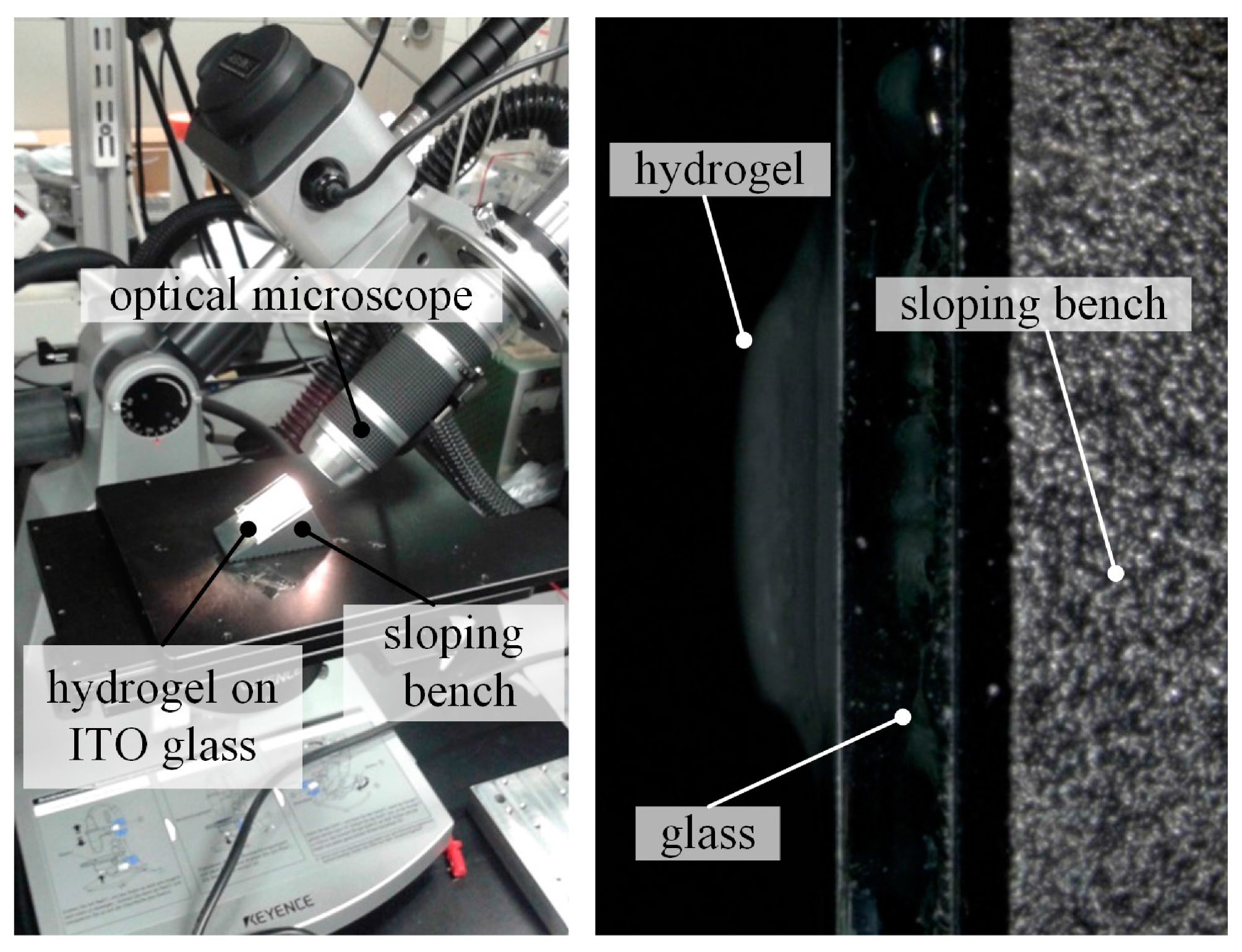 Micromachines 06 01438 g002 1024