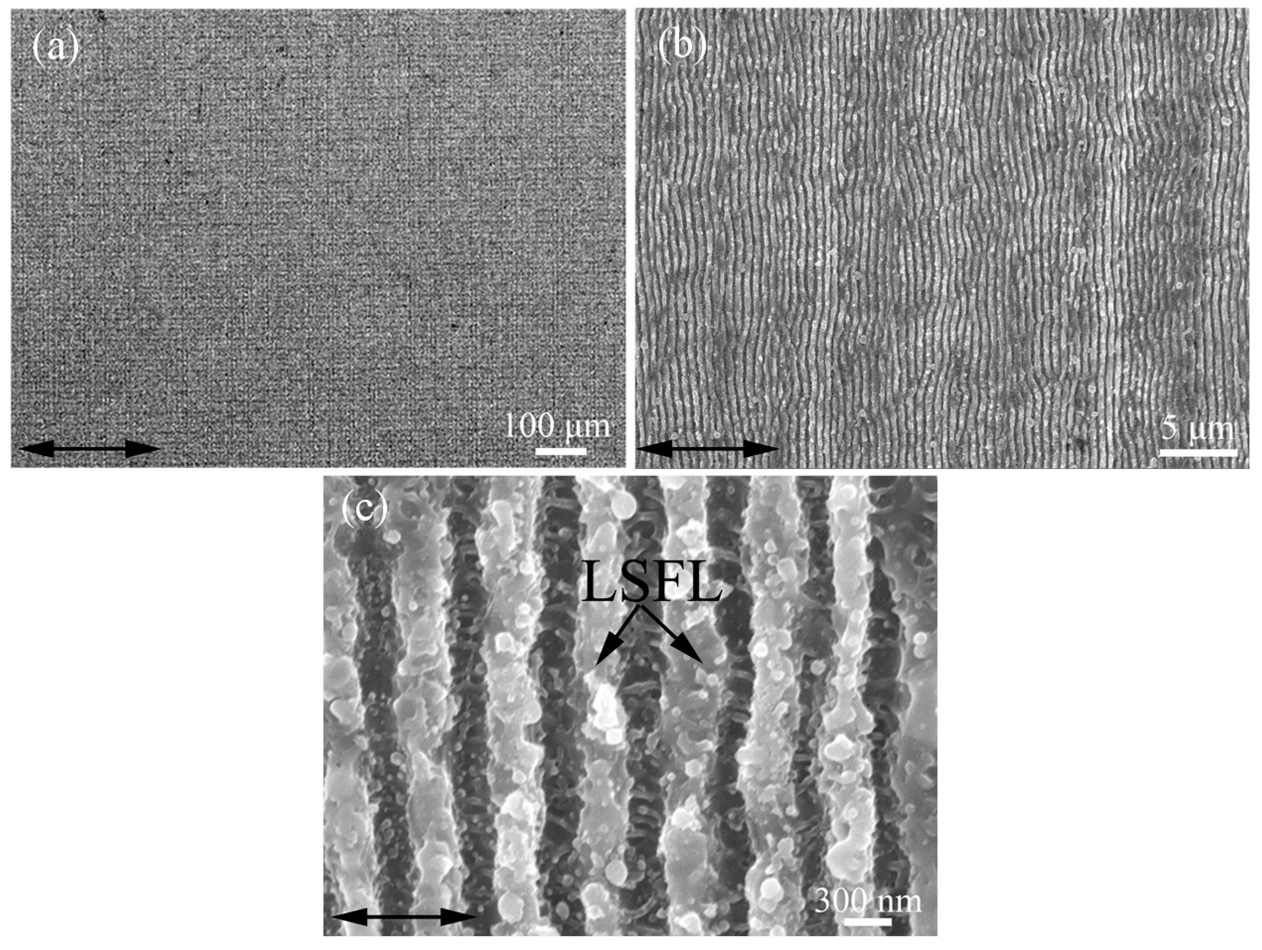 Micromachines 06 01444 g002