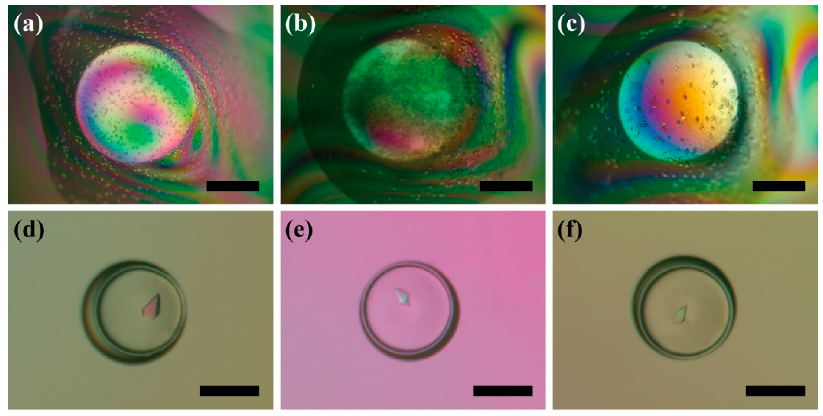 Micromachines 06 01446 g011