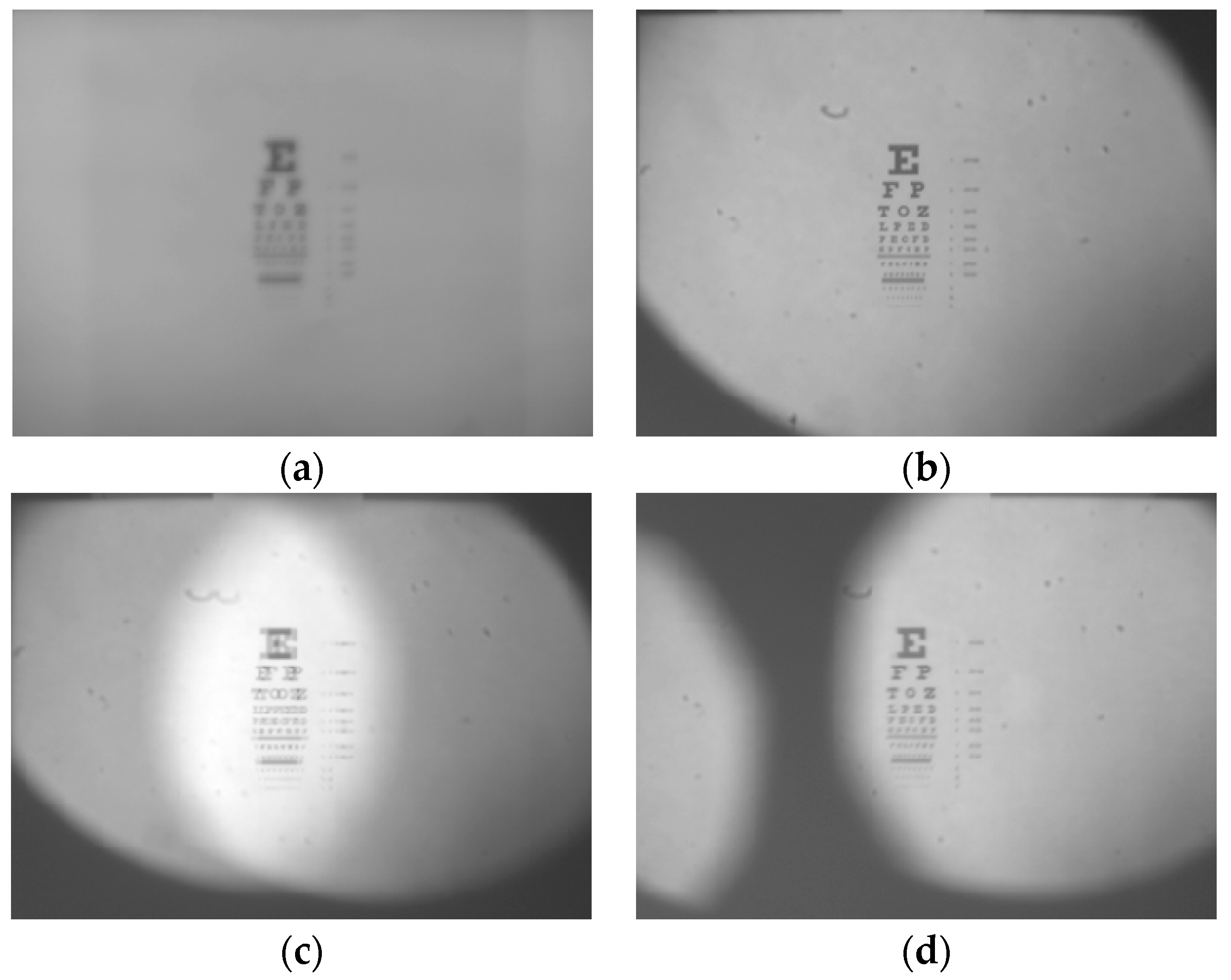 Micromachines 06 01449 g018 1024