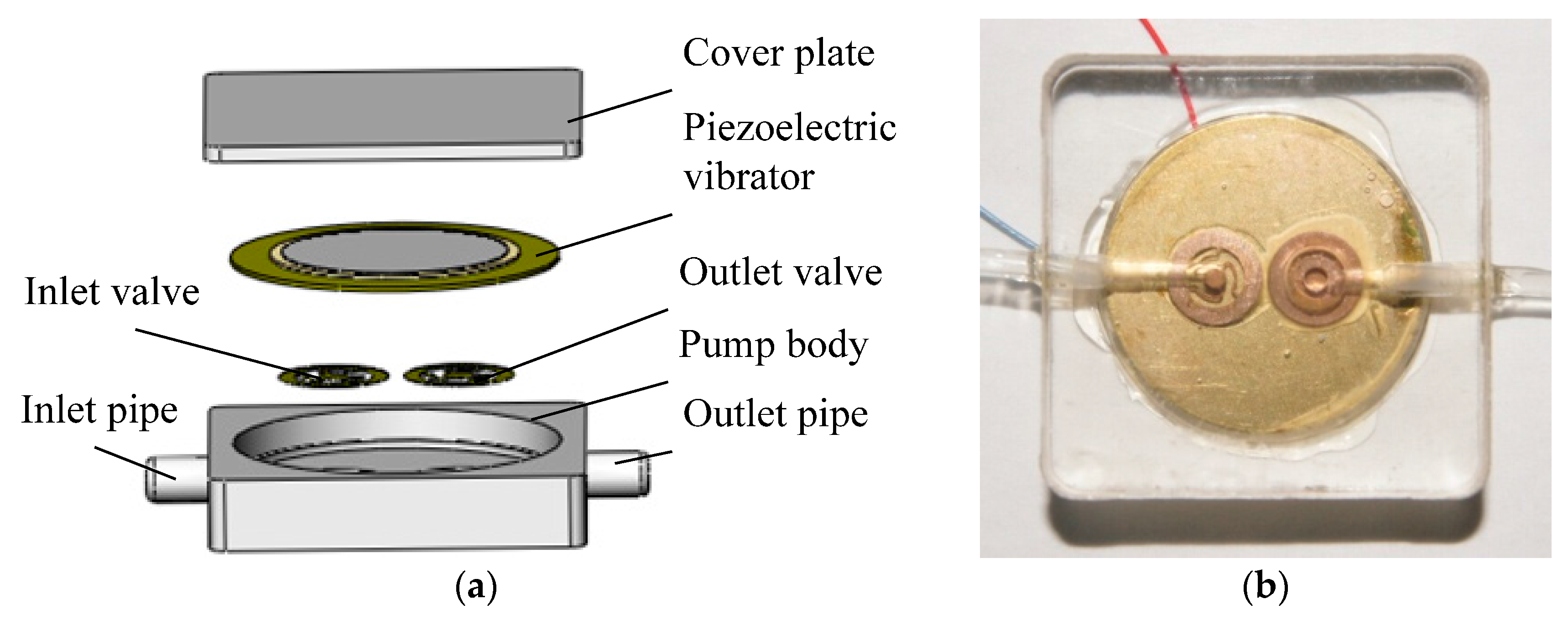 Micromachines 06 01452 g001