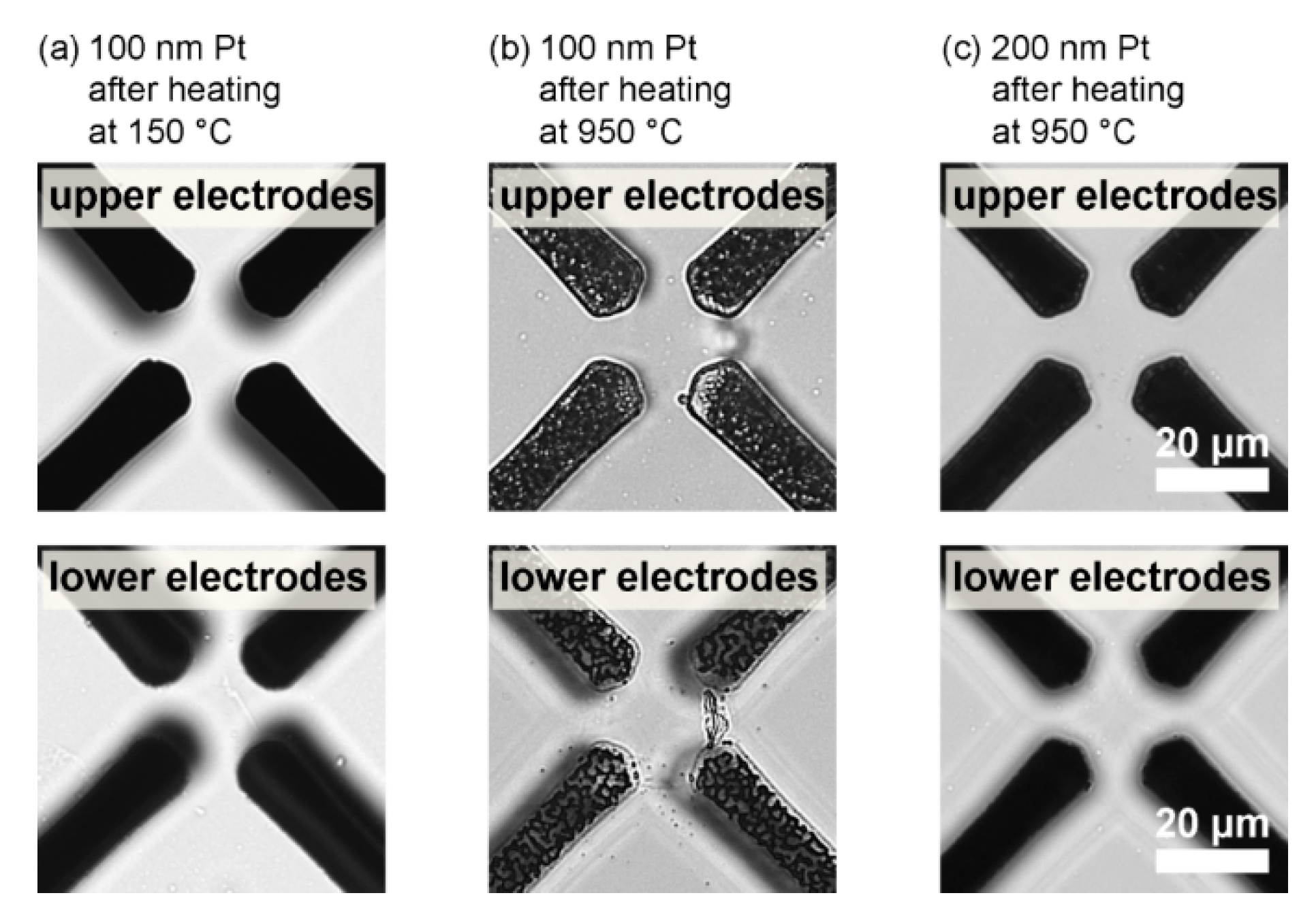 Micromachines 06 01459 g001