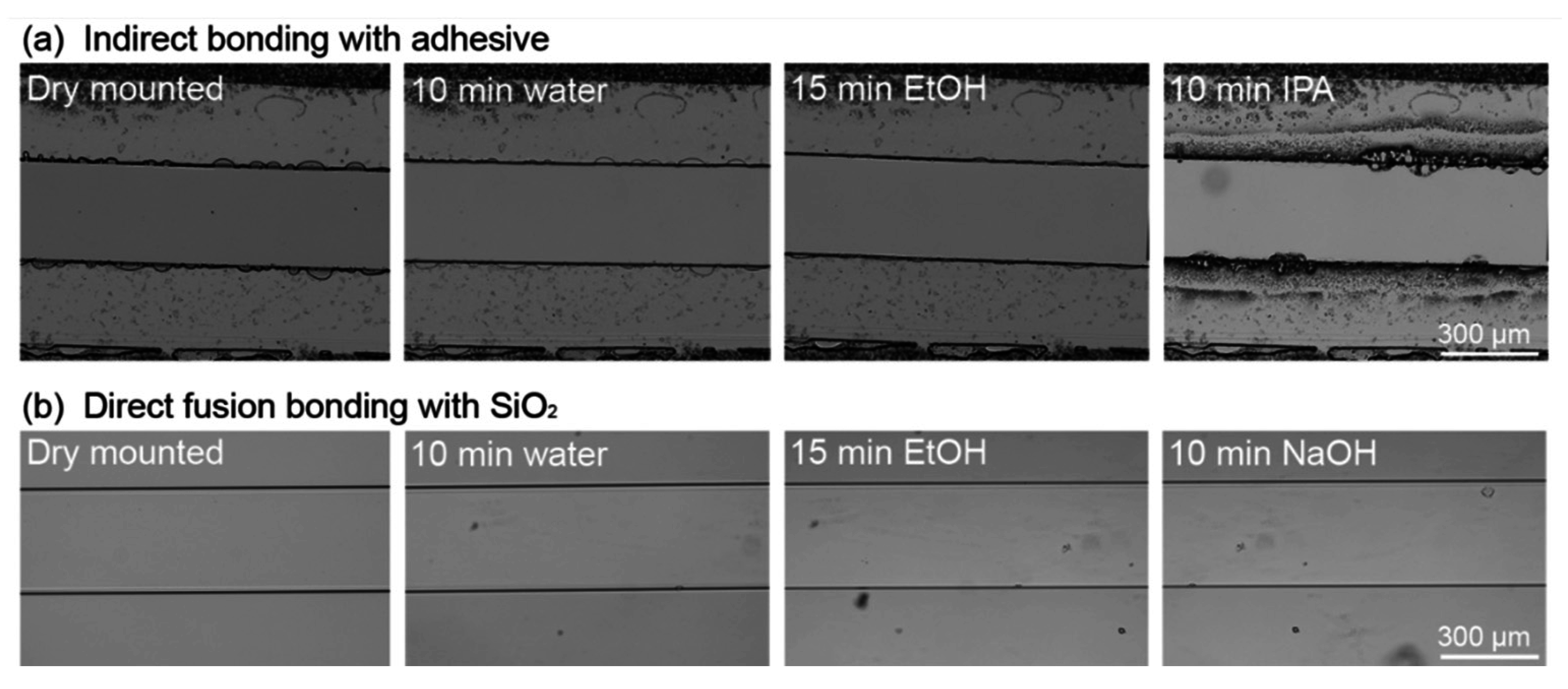 Micromachines 06 01459 g004