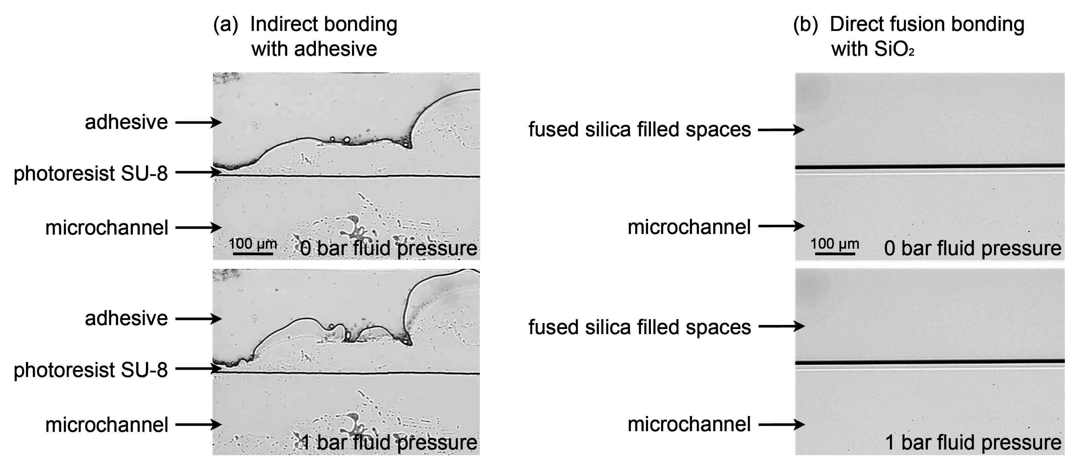 Micromachines 06 01459 g005