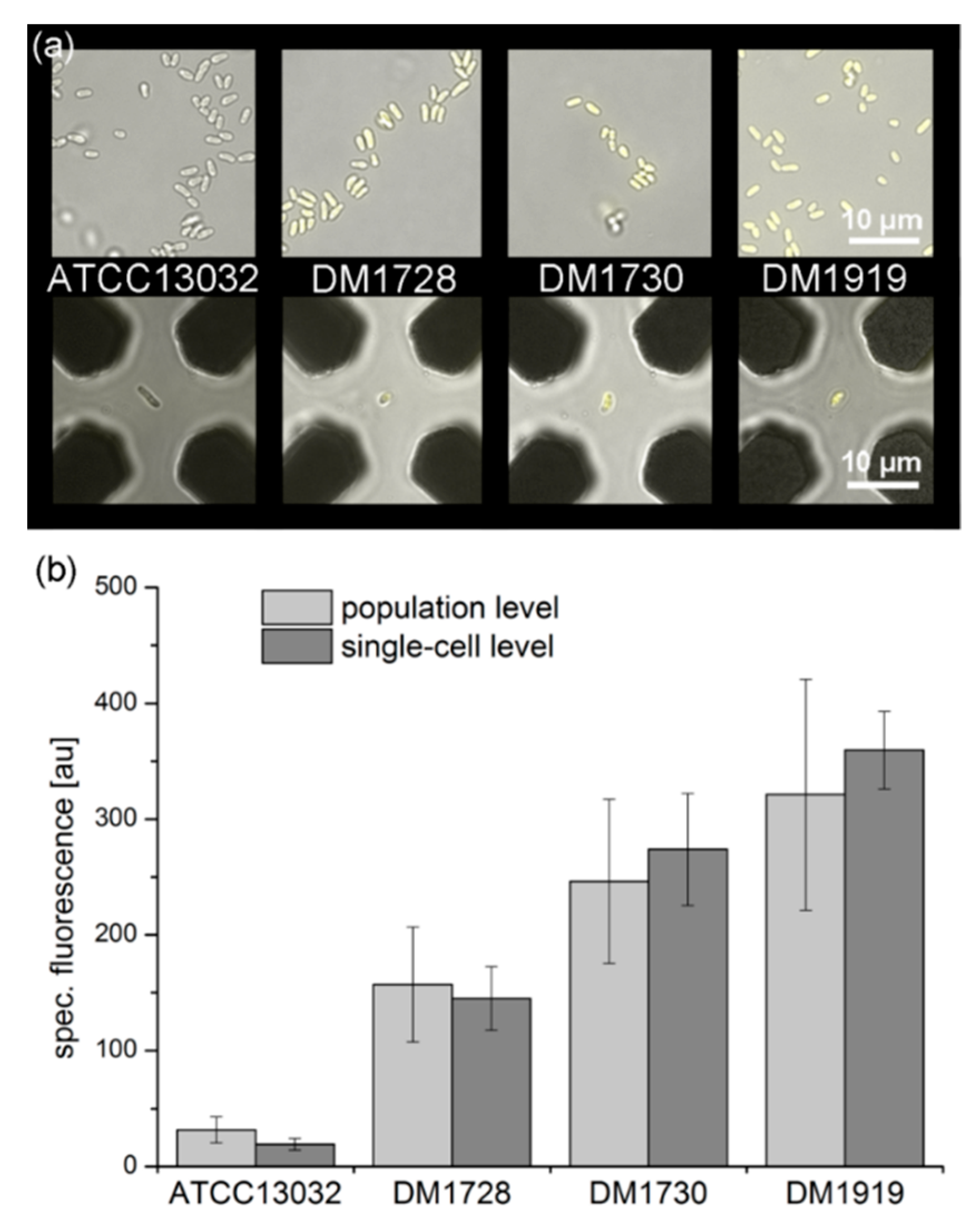 Micromachines 06 01459 g009