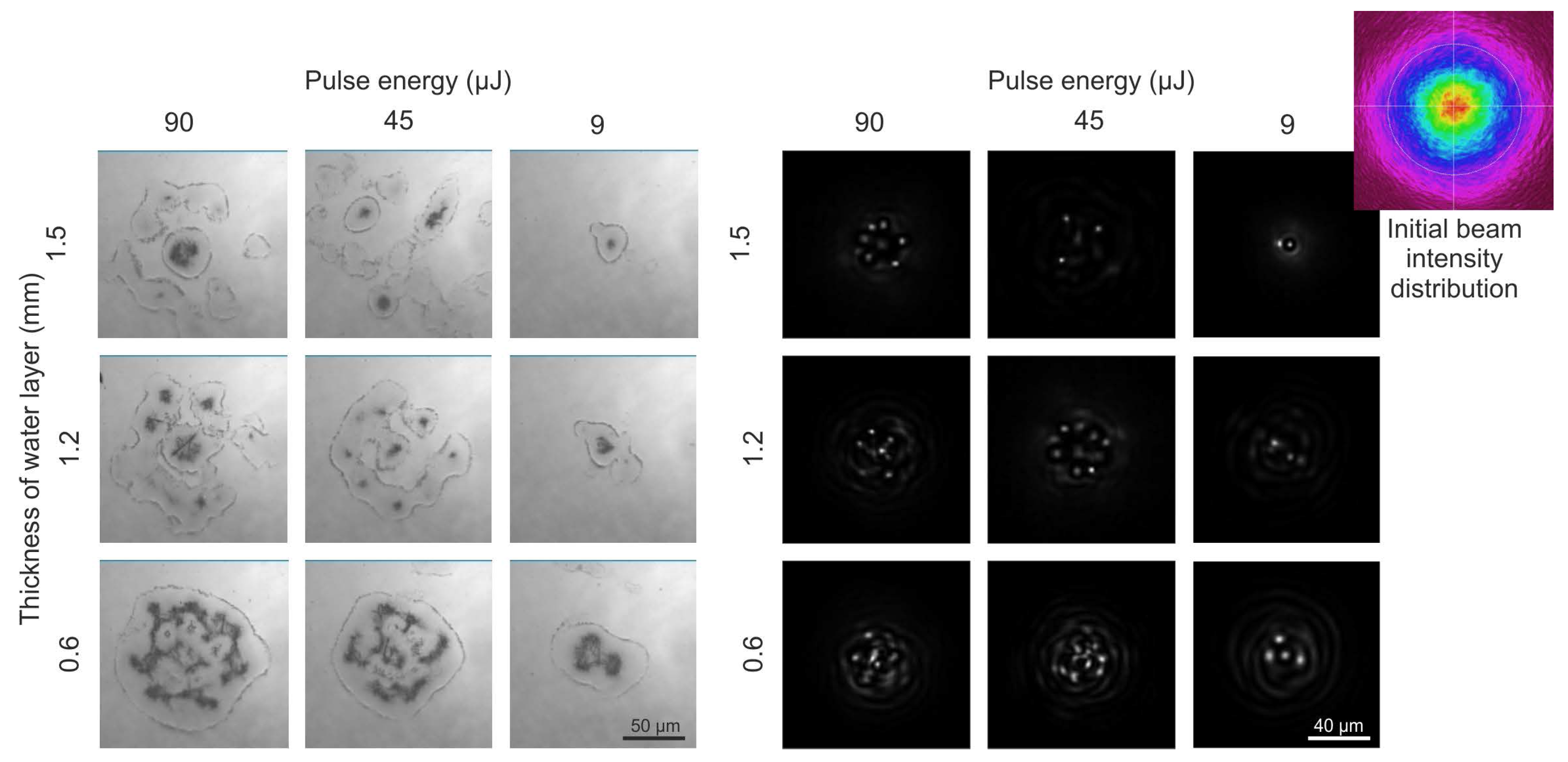 Micromachines 06 01471 g003 1024