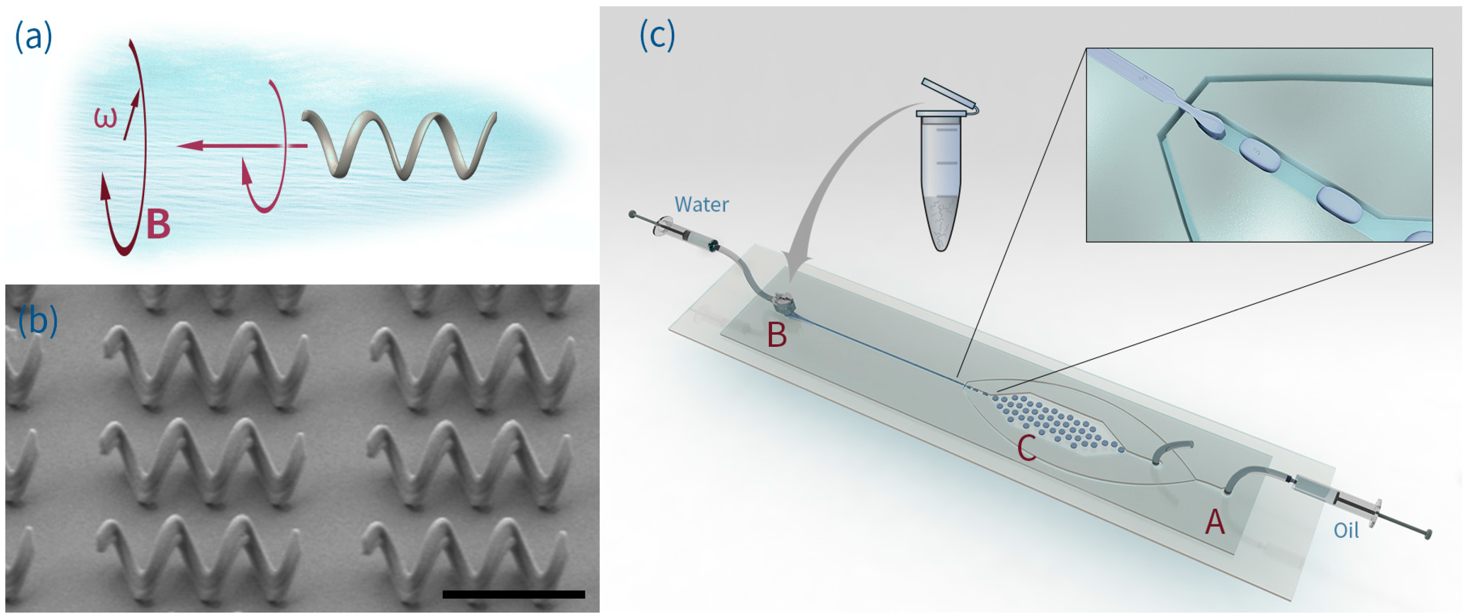 Micromachines 07 00025 g001 550