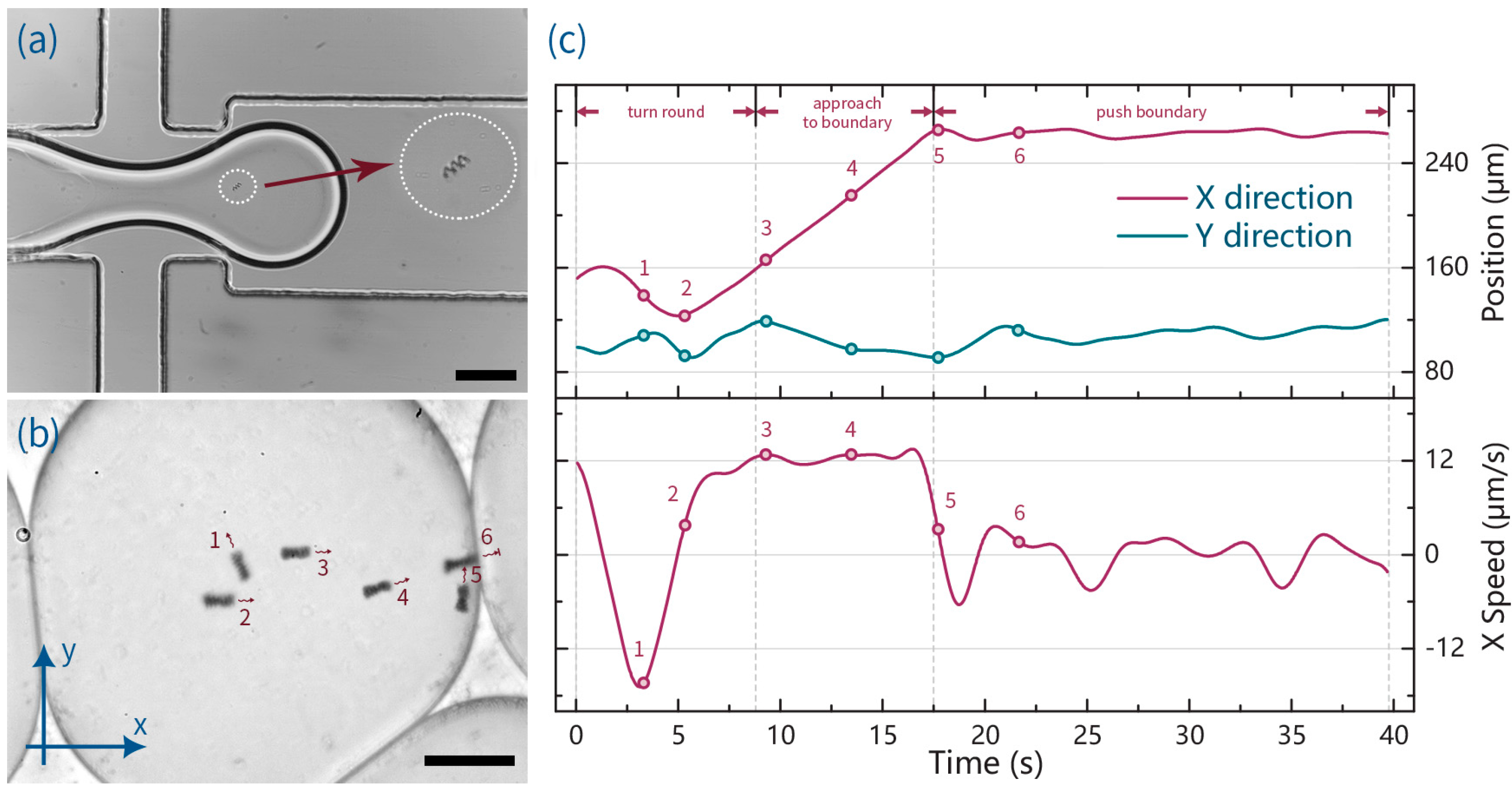 Micromachines 07 00025 g002 550