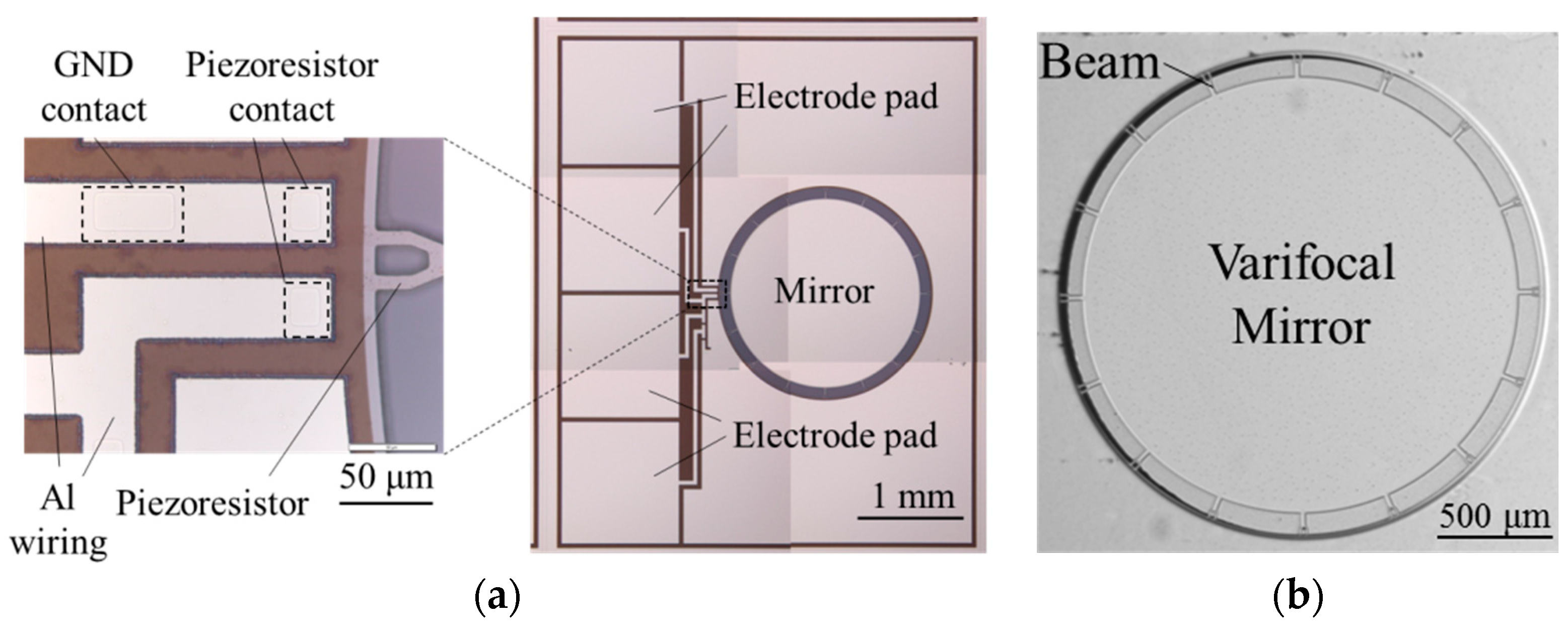 Micromachines 07 00057 g007 550