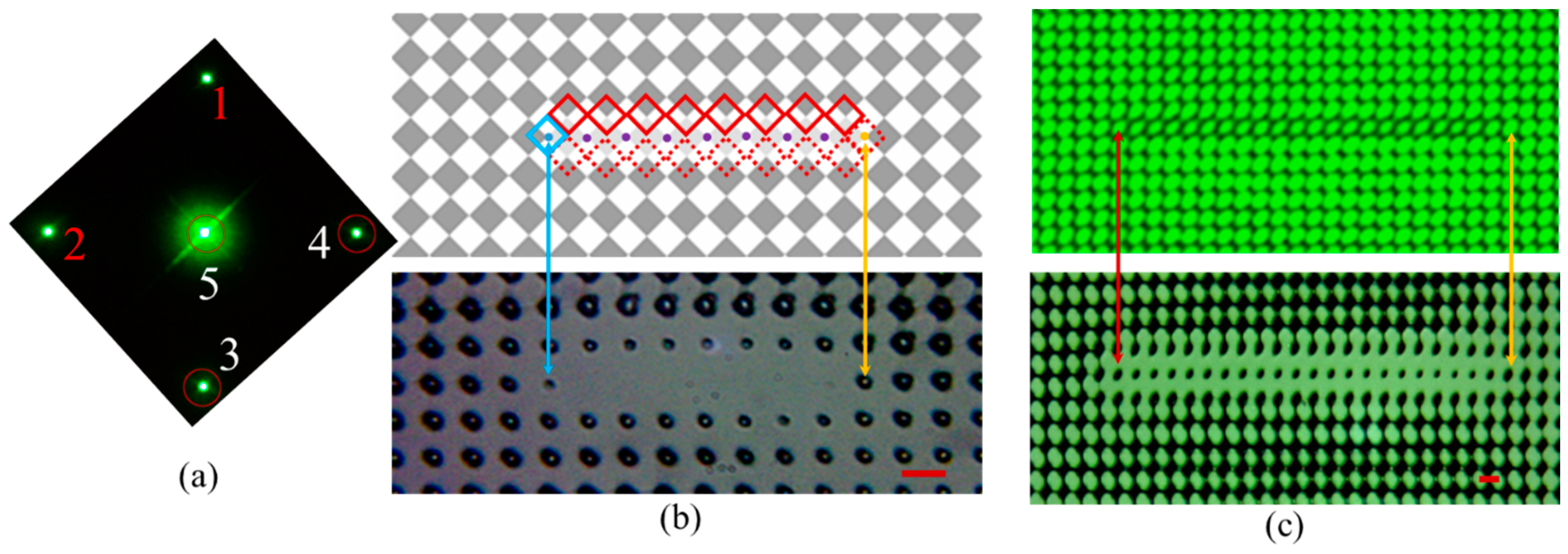 Micromachines 07 00059 g006 550
