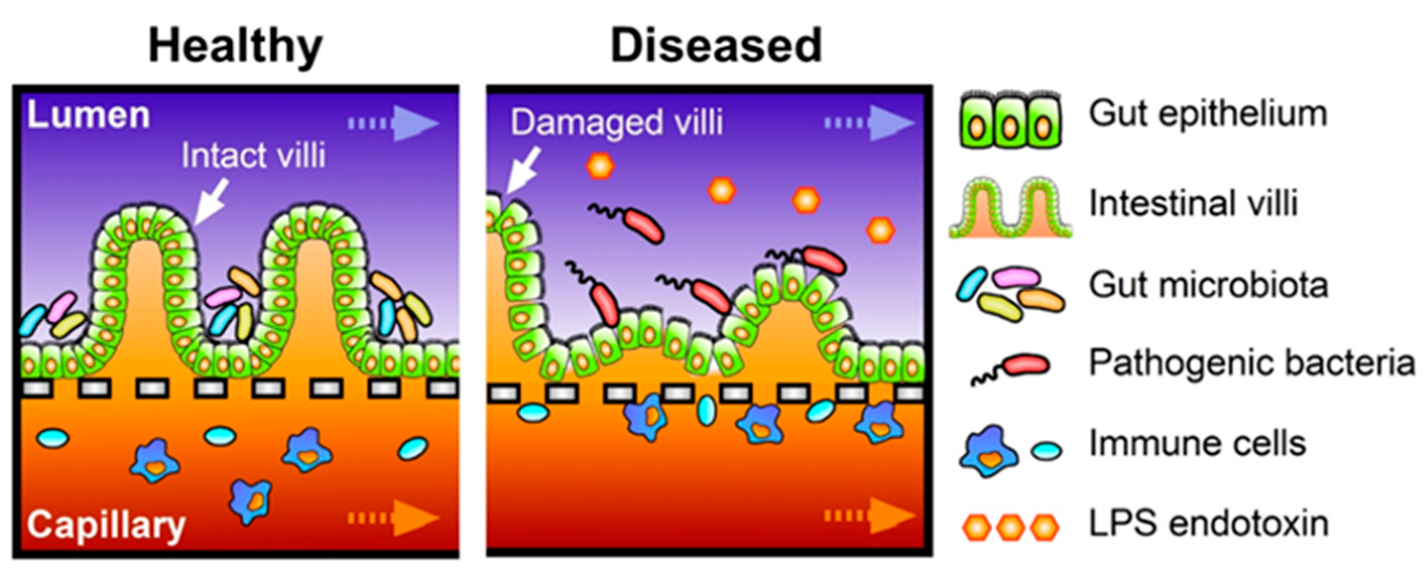 Micromachines Free Full Text Farewell To Animal Testing Innovations On Human Intestinal Microphysiological Systems Html