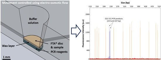 Dna storage long term paper fta