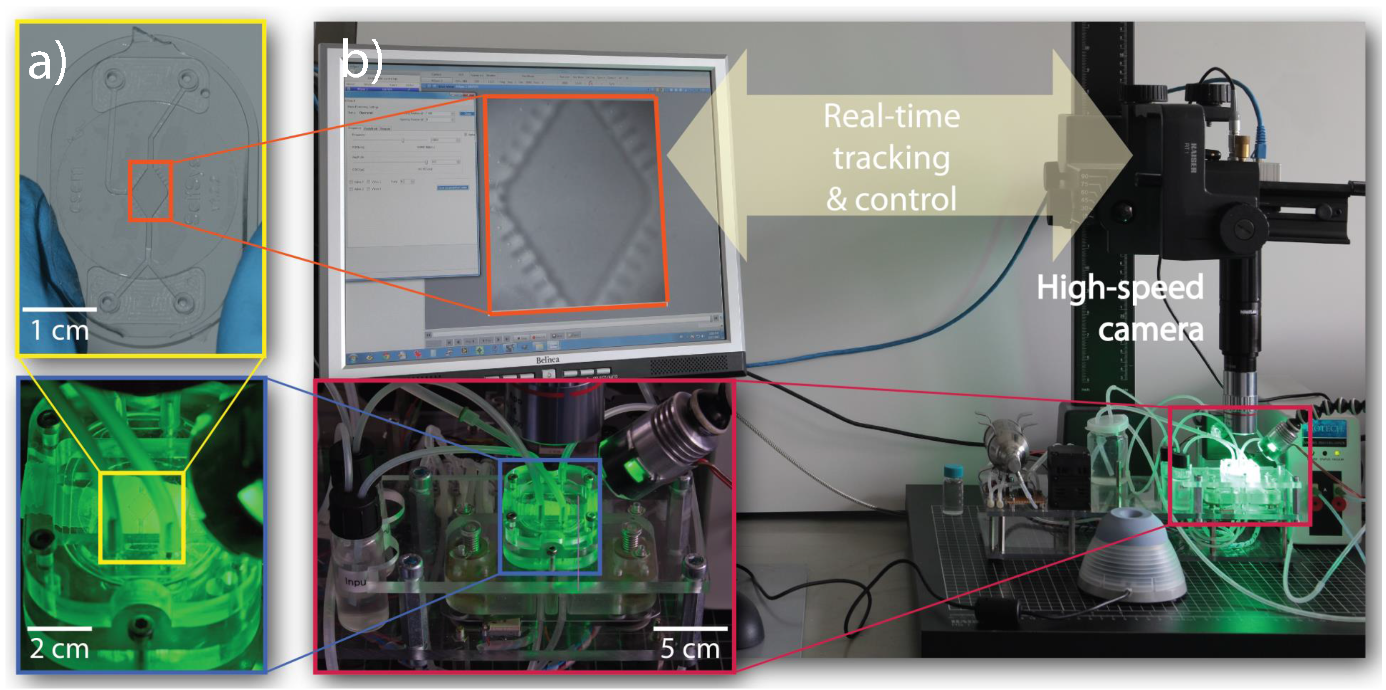 Micromachines 07 00138 g006 550