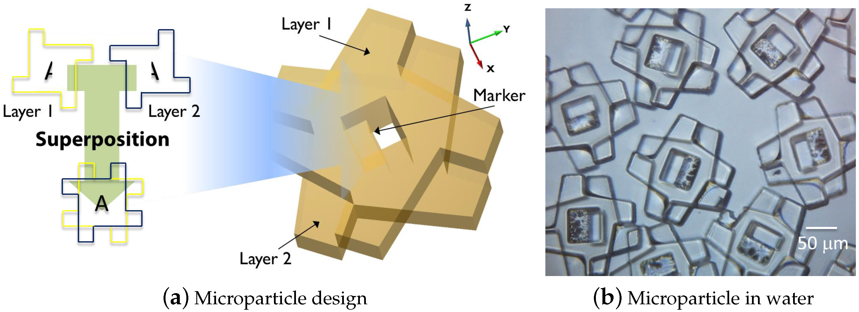 Micromachines 07 00138 g007 550