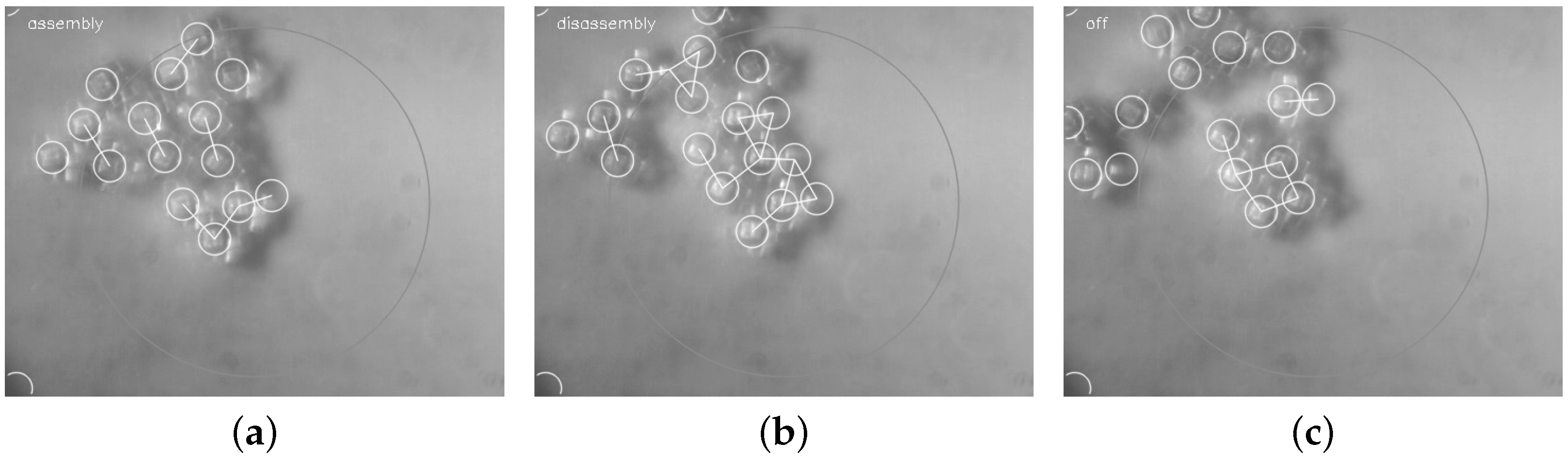 Micromachines 07 00138 g010 550