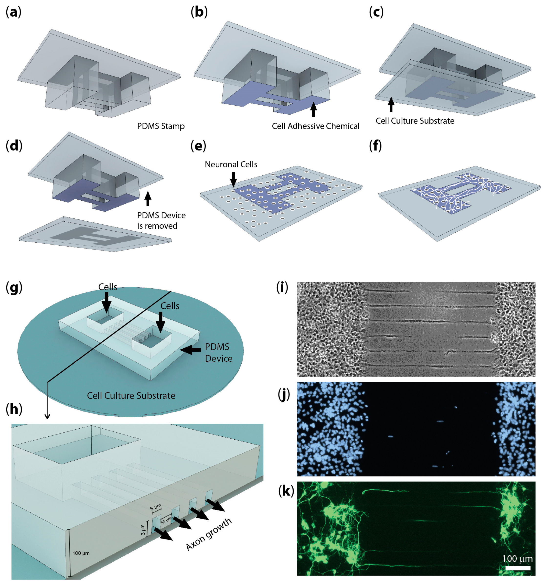 Micromachines 07 00157 g002