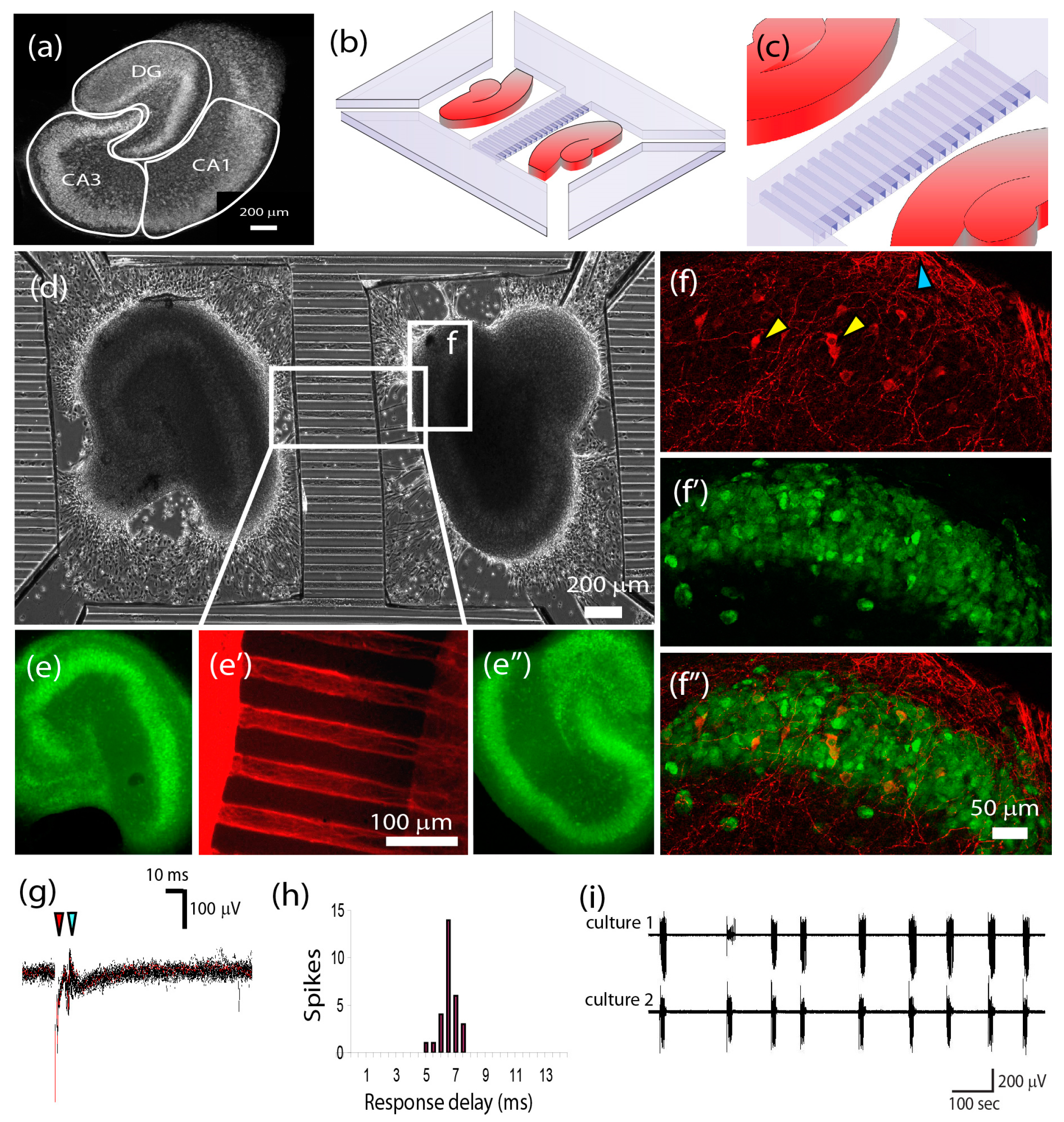 Micromachines 07 00157 g005