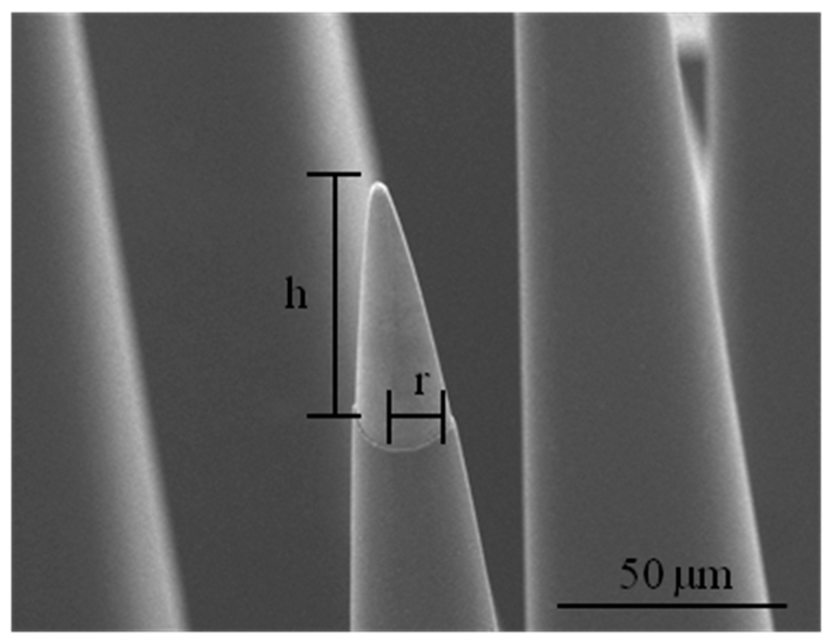 Micromachines 07 00163 g012