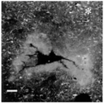 Micromachines 07 00179 i011