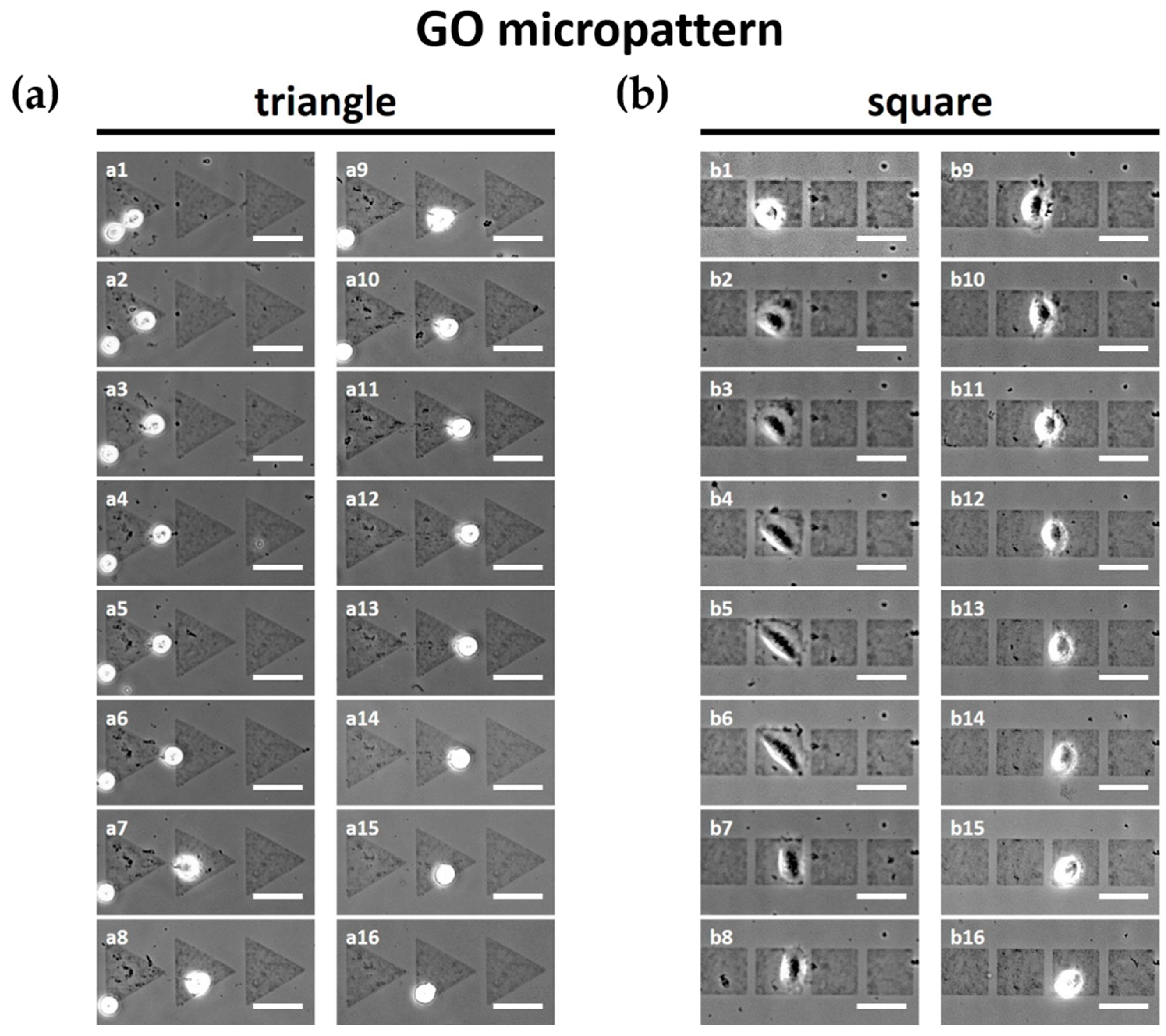 Micromachines 07 00186 g004