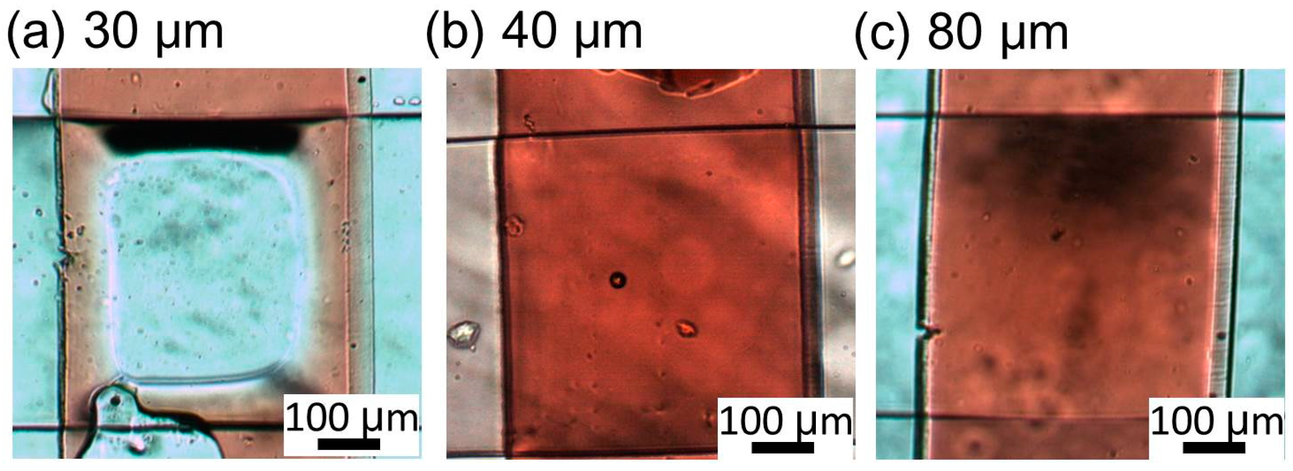 Micromachines 07 00224 g011 550