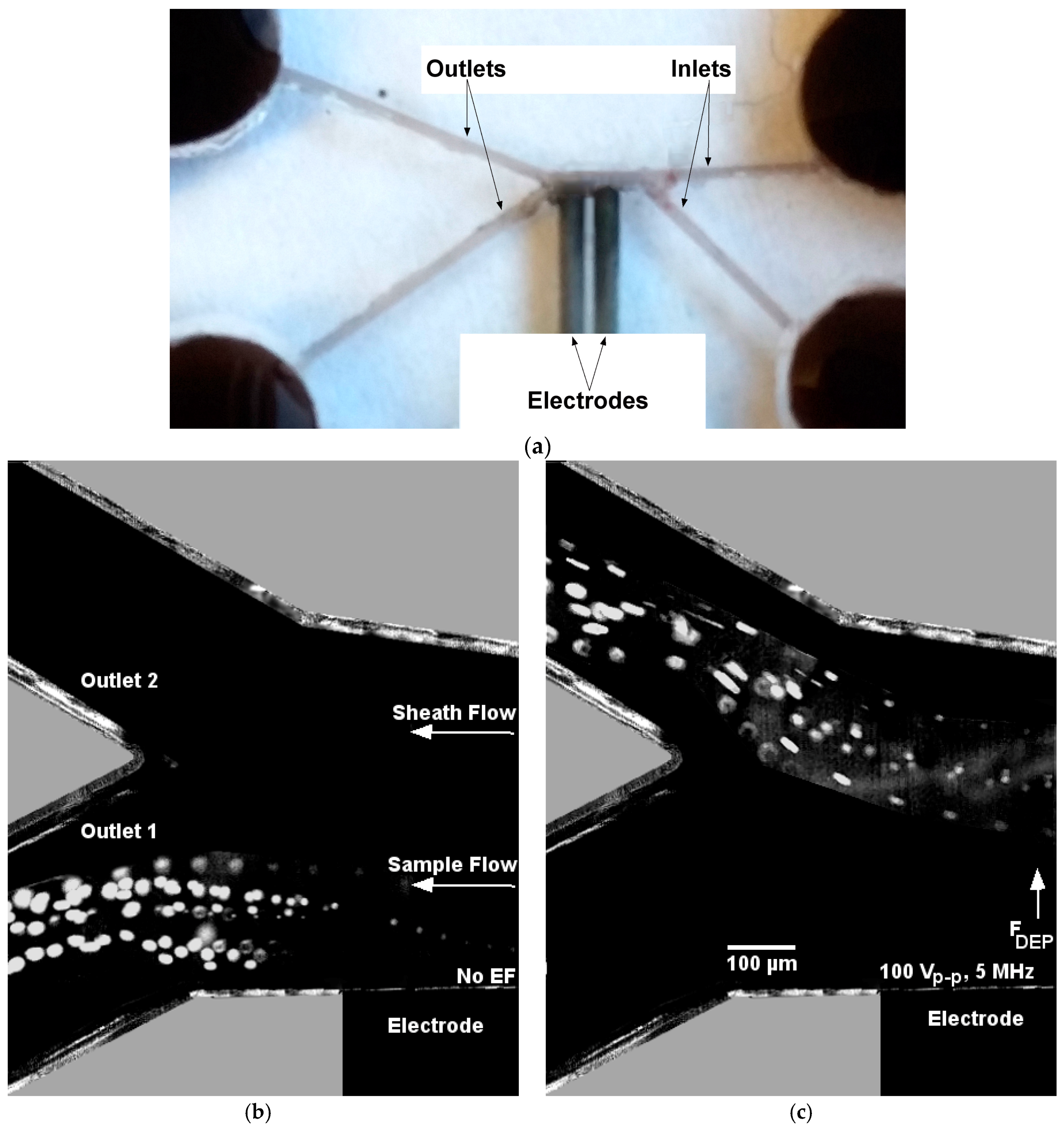 Micromachines 07 00235 g007