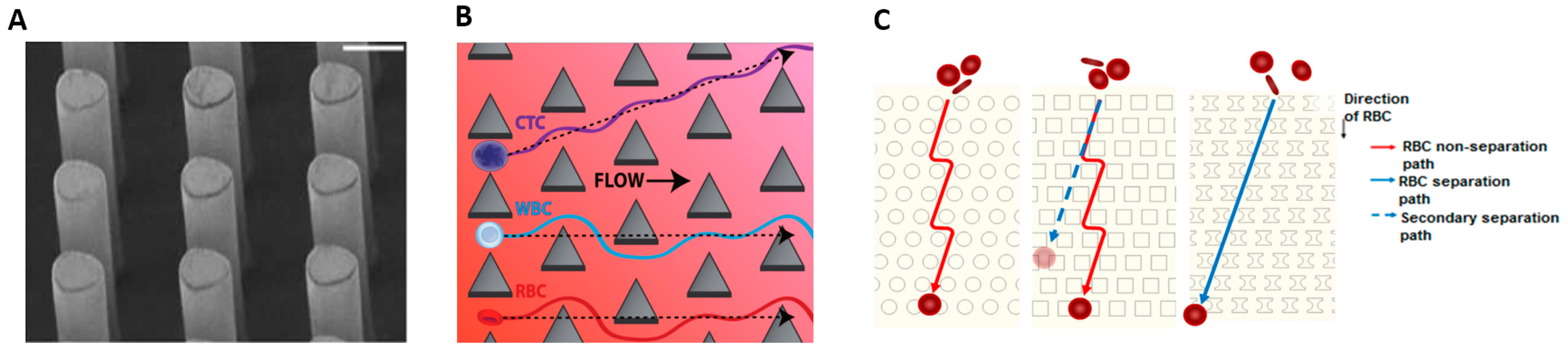 Micromachines Free Full Text Microfluidic Platform For Cell Isolation And Manipulation Based On Cell Properties Html