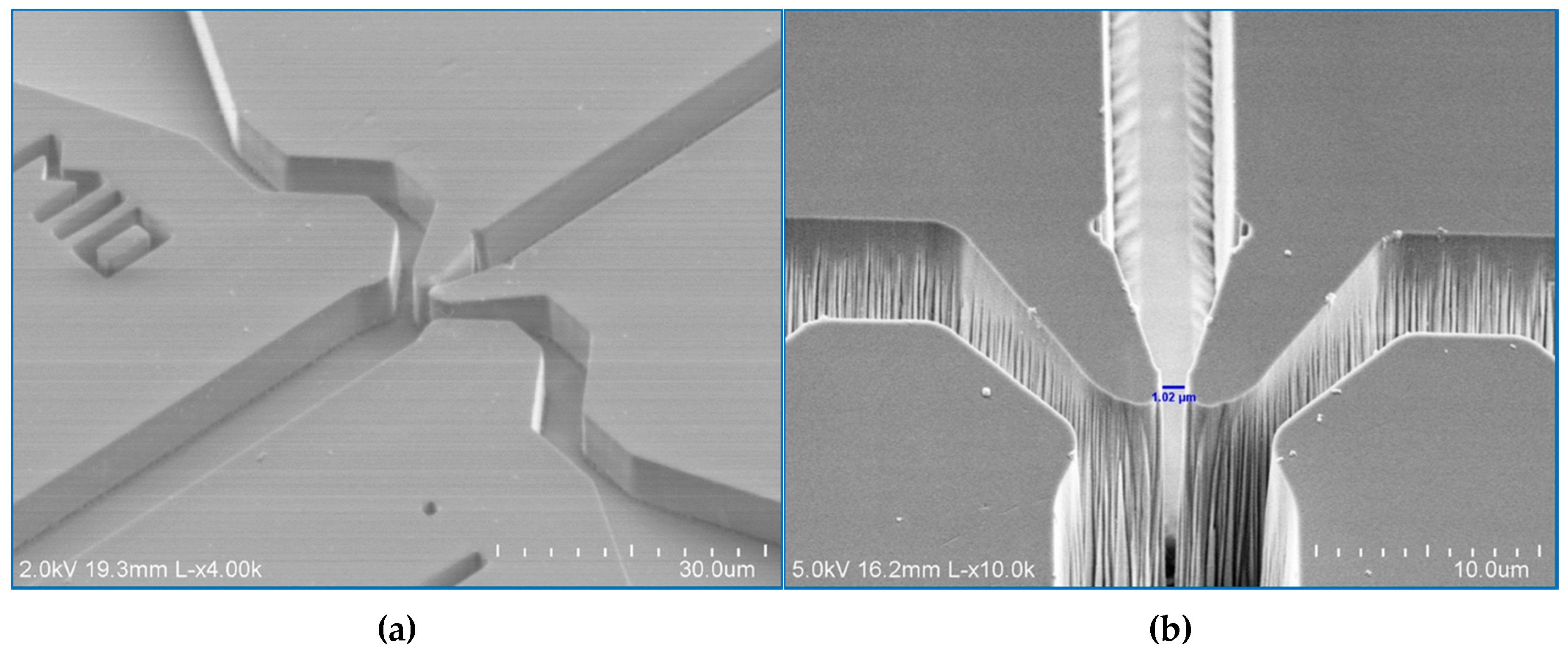 Micromachines 08 00016 g002