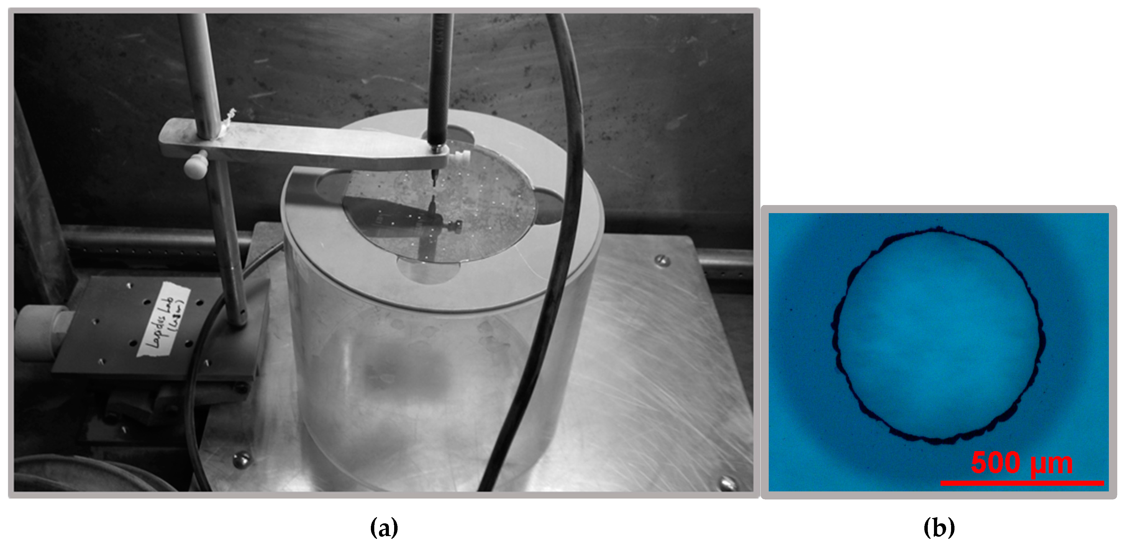 Micromachines 08 00016 g005