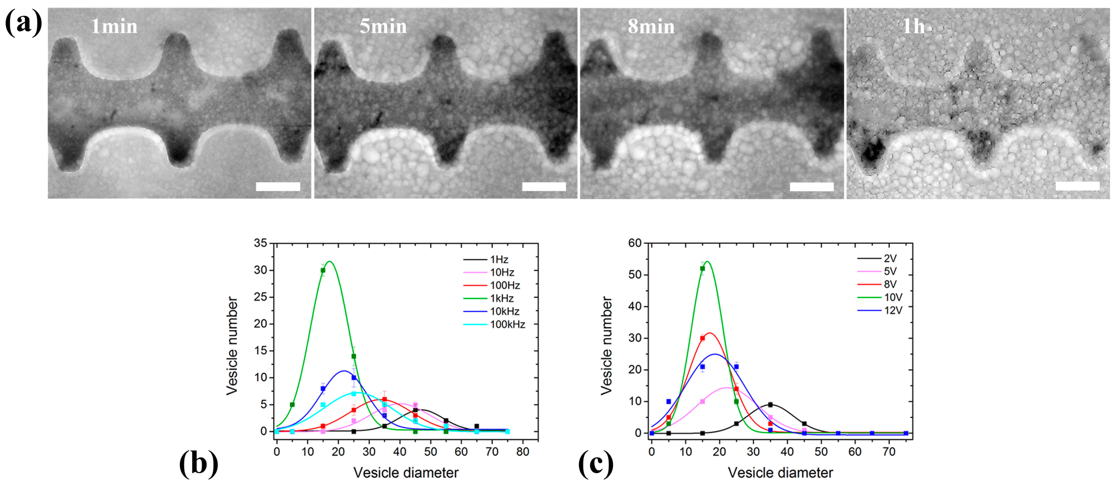 Micromachines 08 00024 g003 550