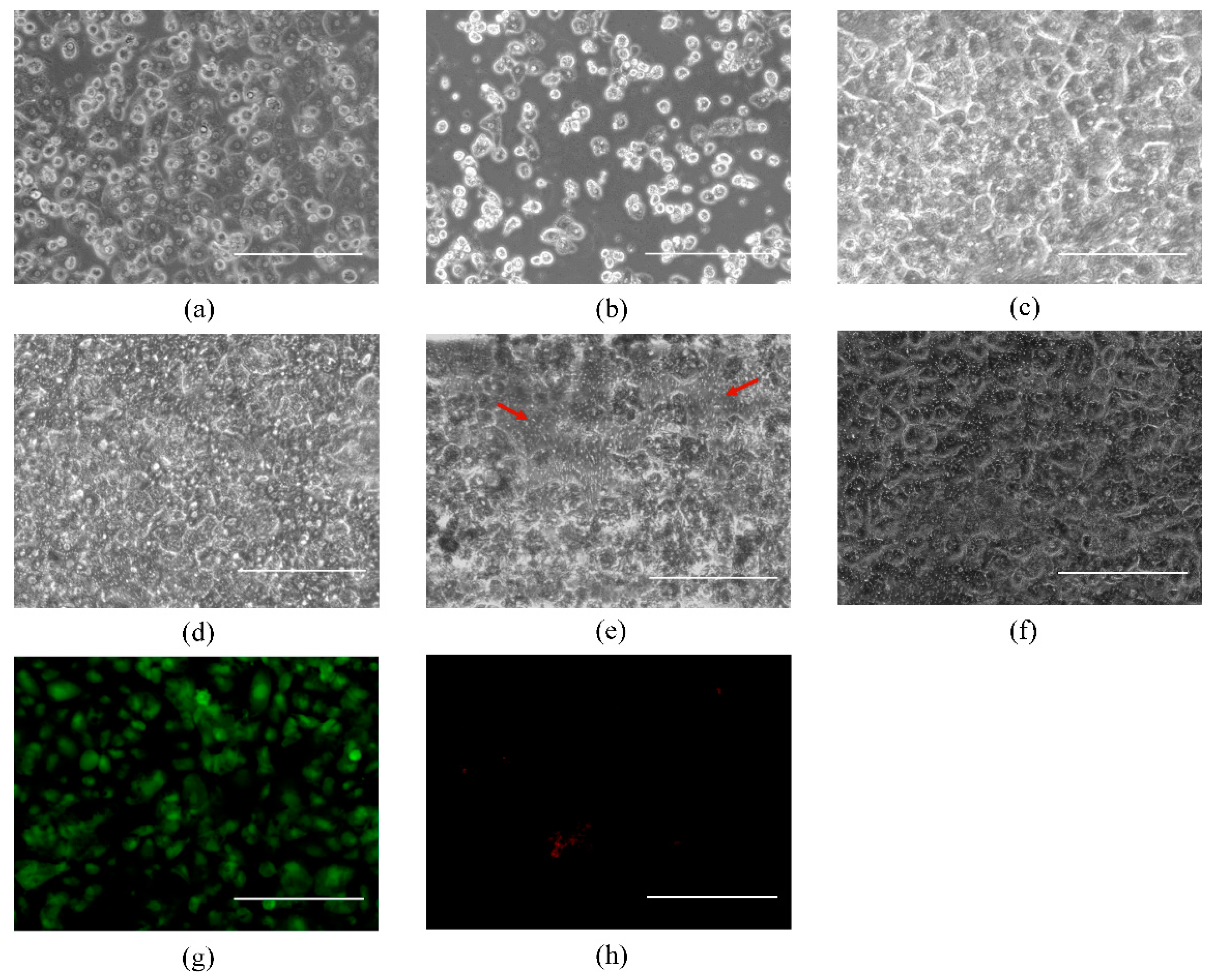 Micromachines 08 00027 g002