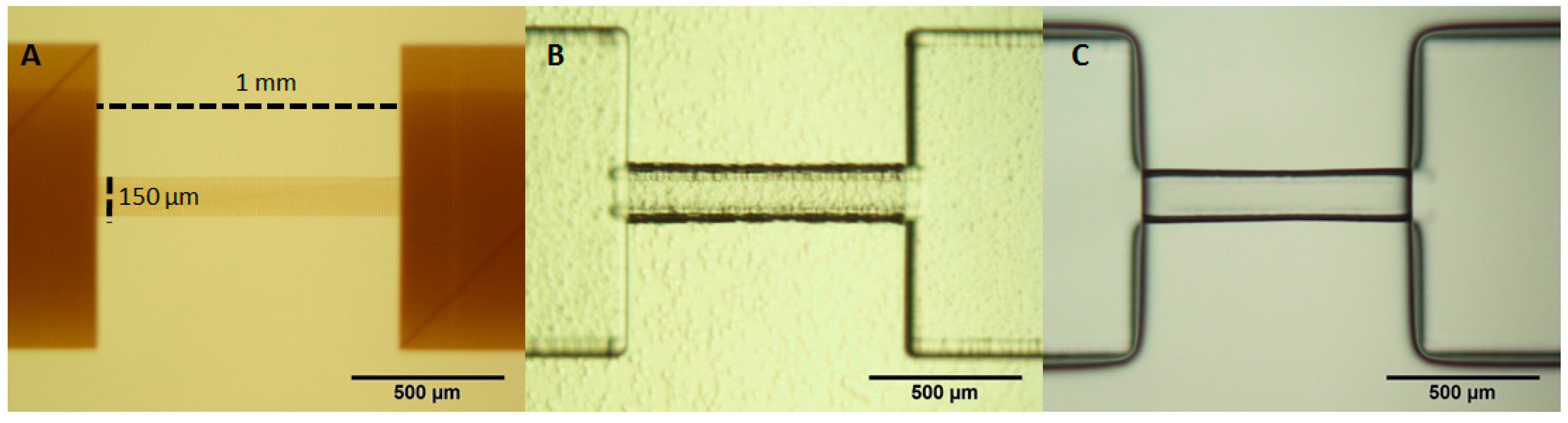 Micromachines 08 00040 g001 550