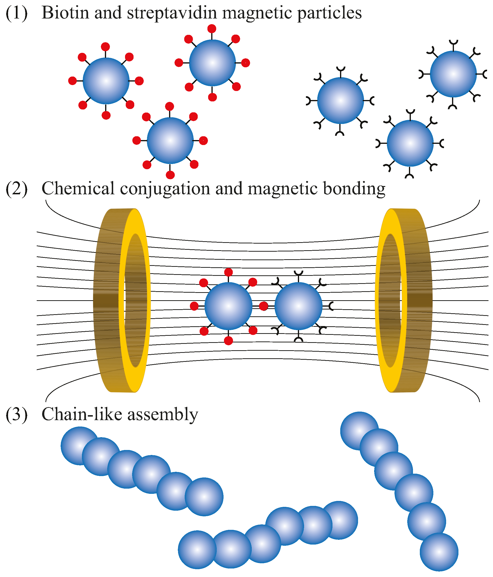 Micromachines 08 00046 g001 550