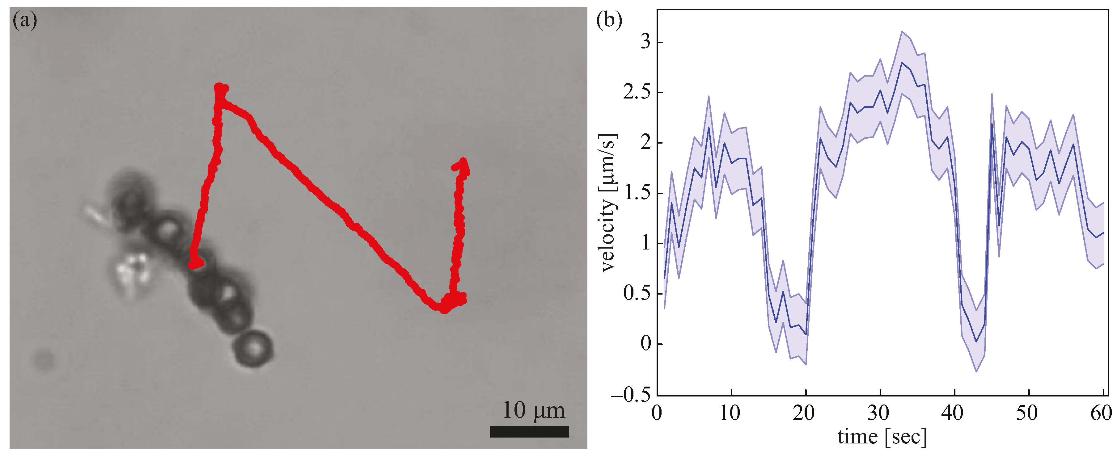 Micromachines 08 00046 g005 550