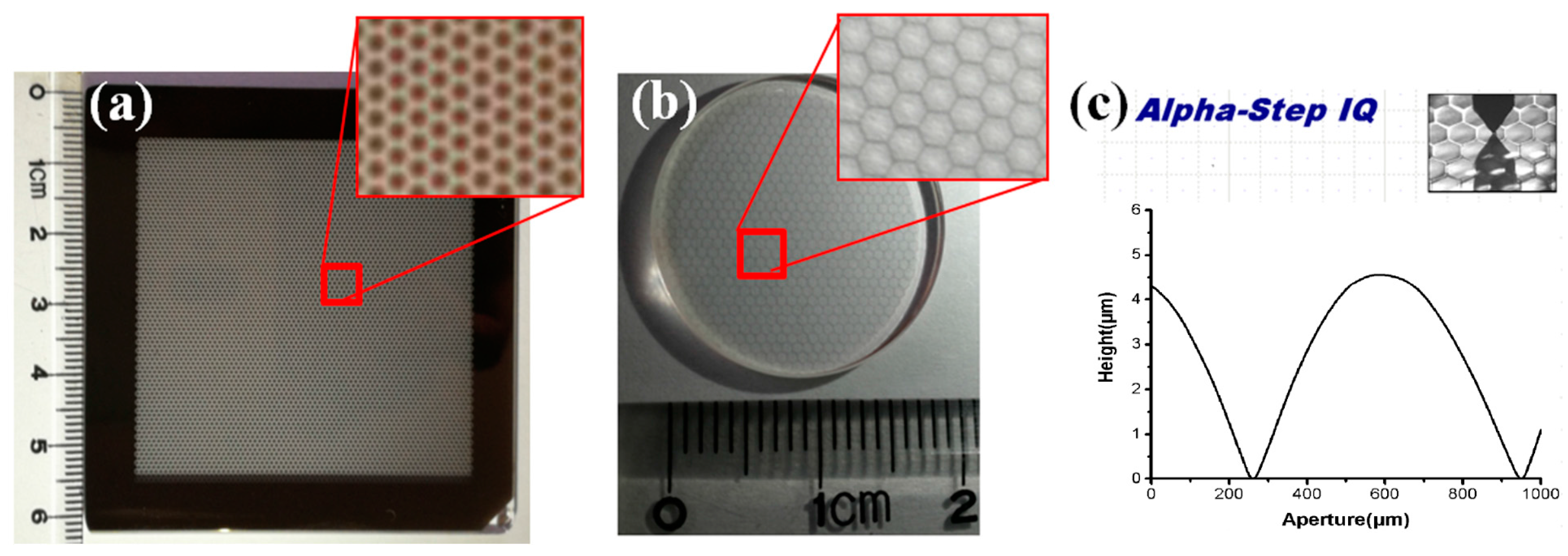 Micromachines 08 00050 g005 550