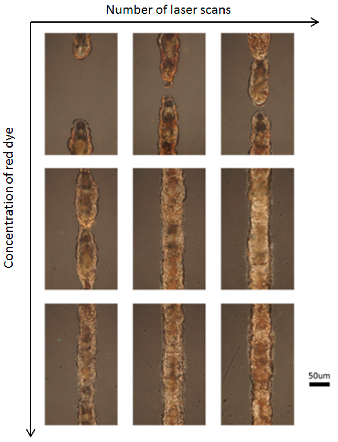 Micromachines 08 00052 g003 550