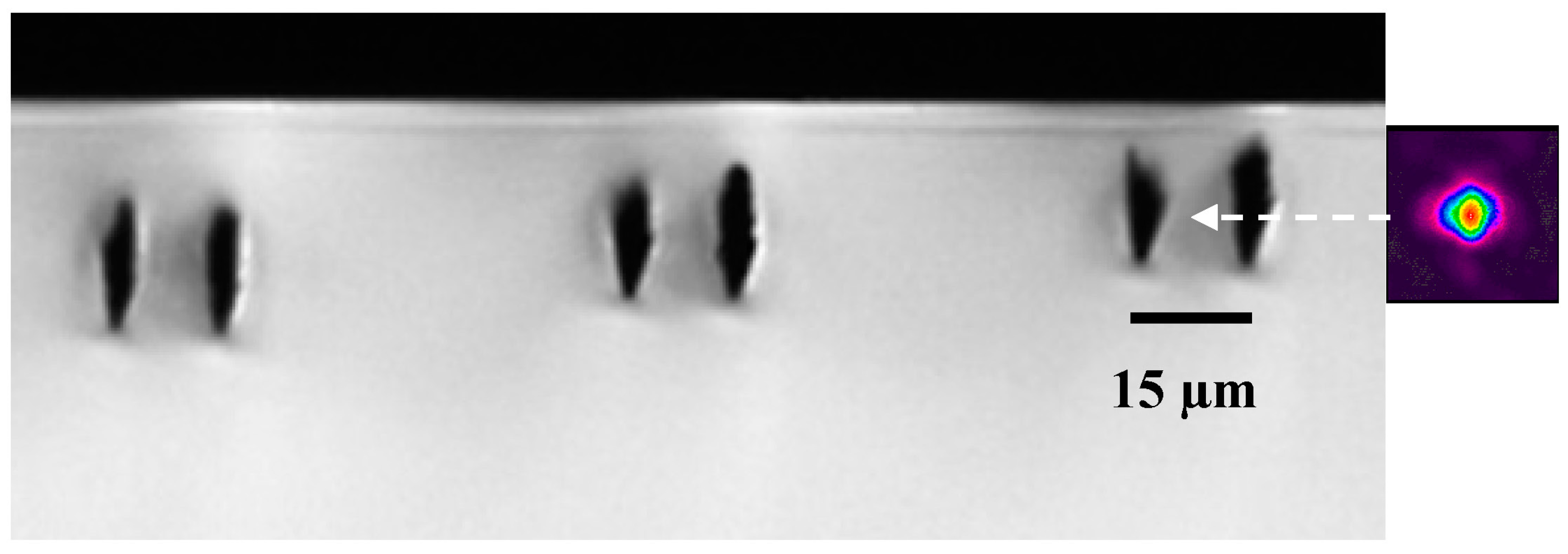 Micromachines 08 00060 g003 550