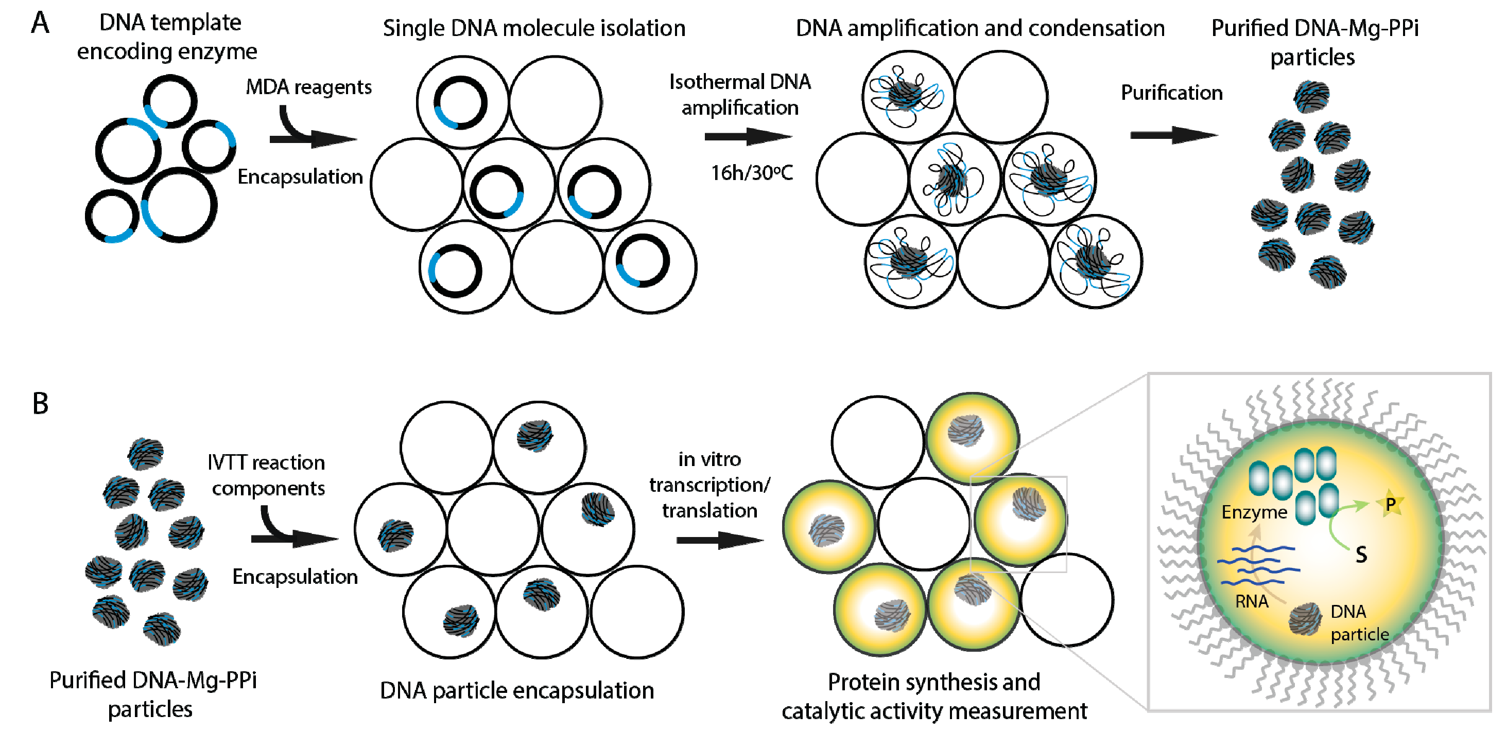 Micromachines 08 00062 g001