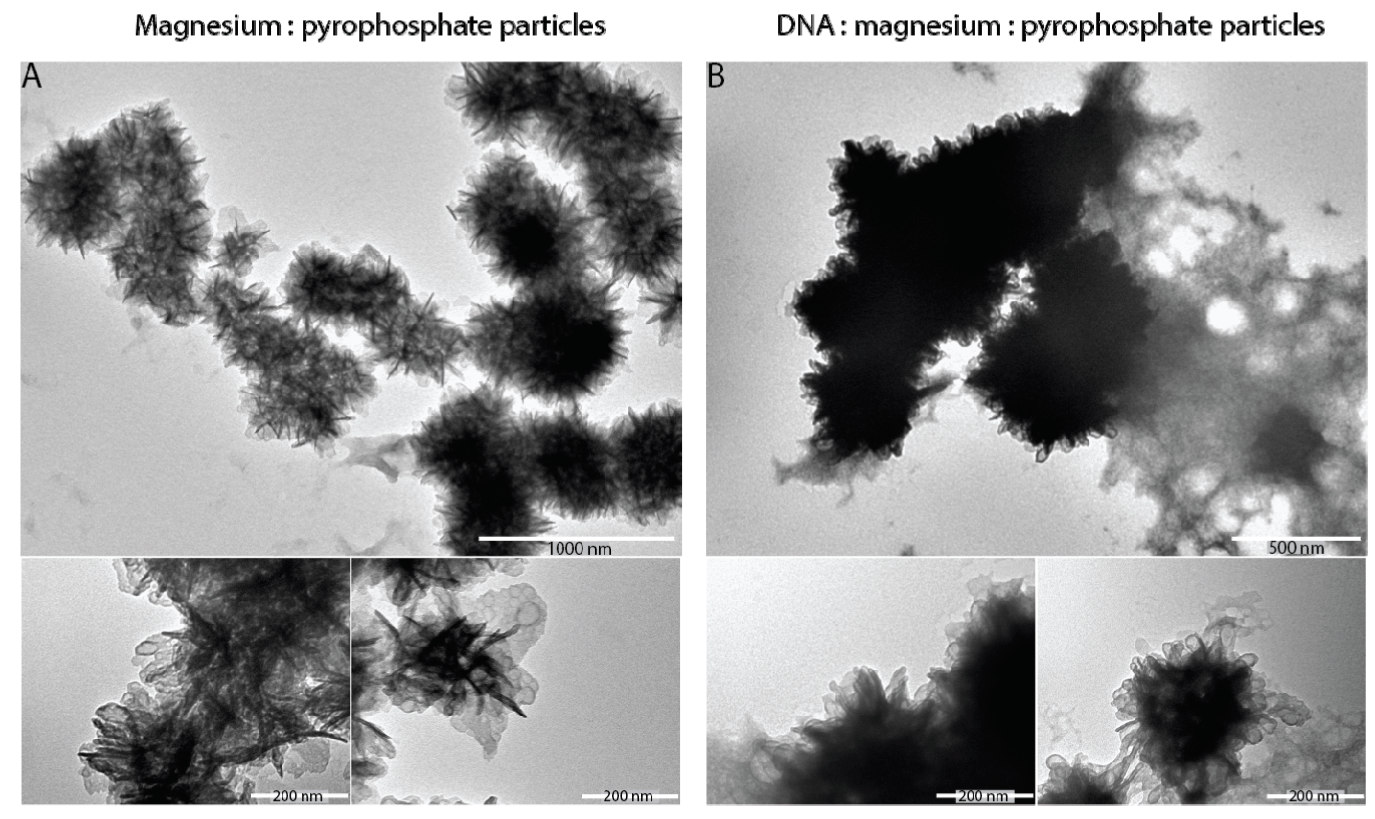 Micromachines 08 00062 g005