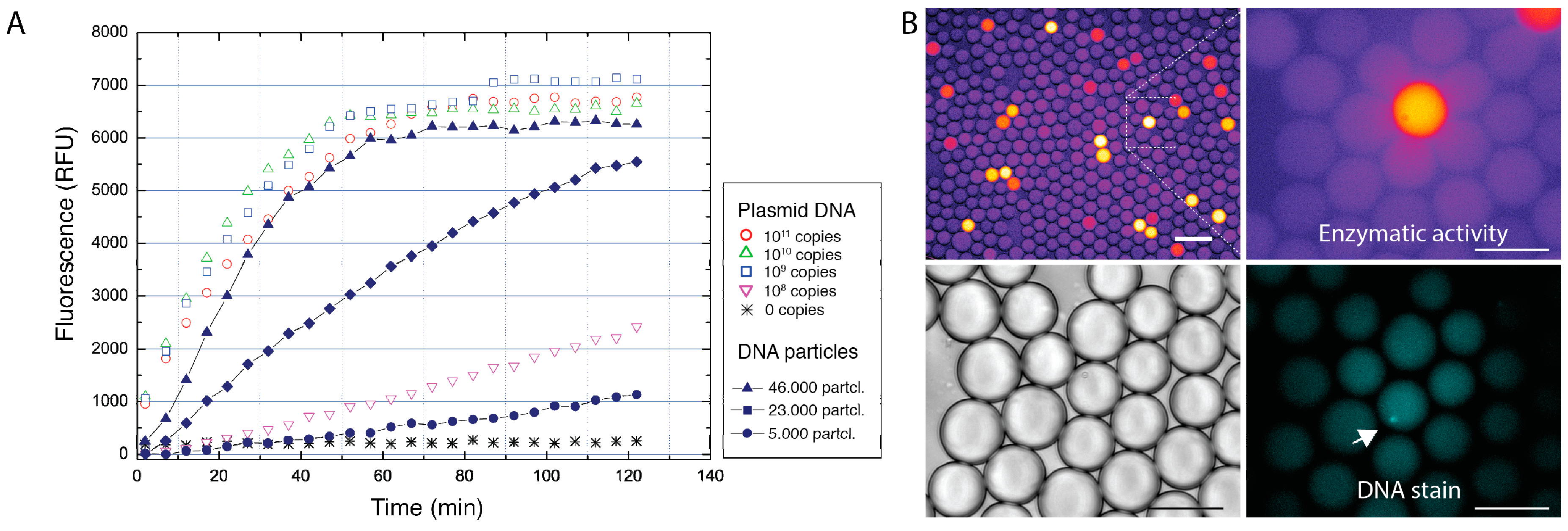 Micromachines 08 00062 g007