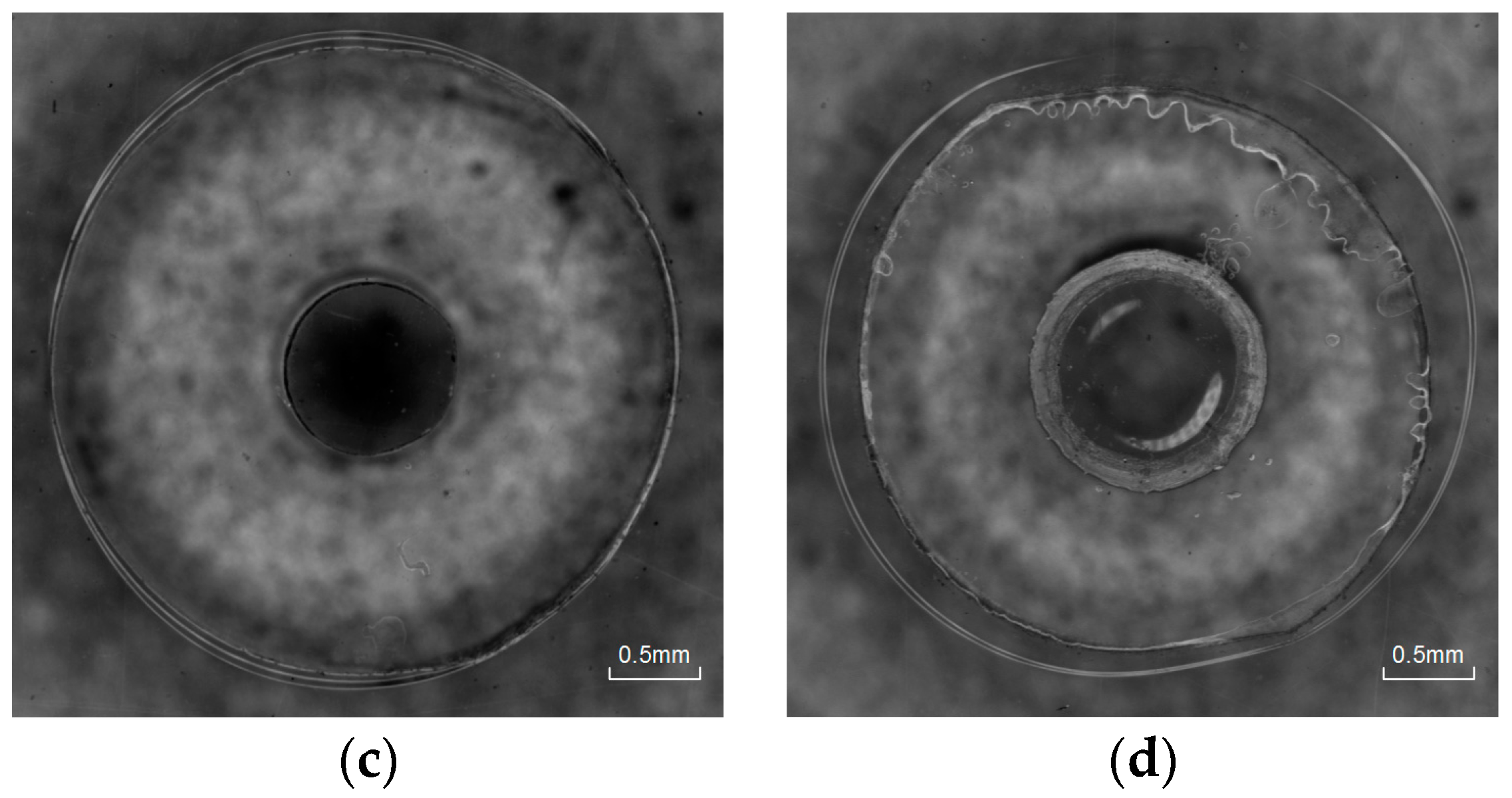Micromachines 08 00092 g010b 550