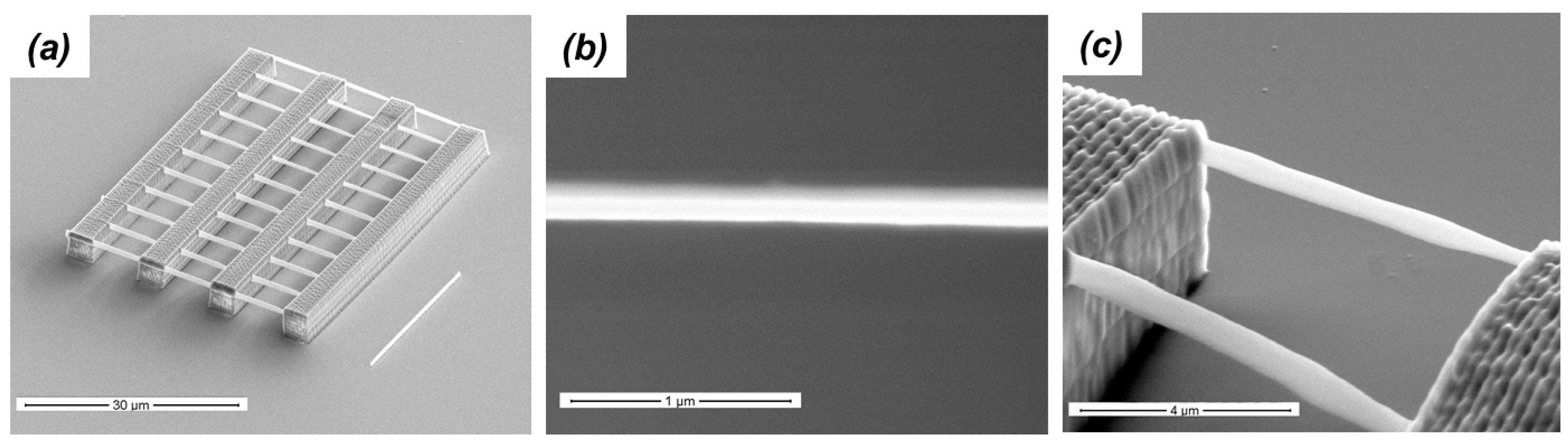 Micromachines 08 00101 g004 550
