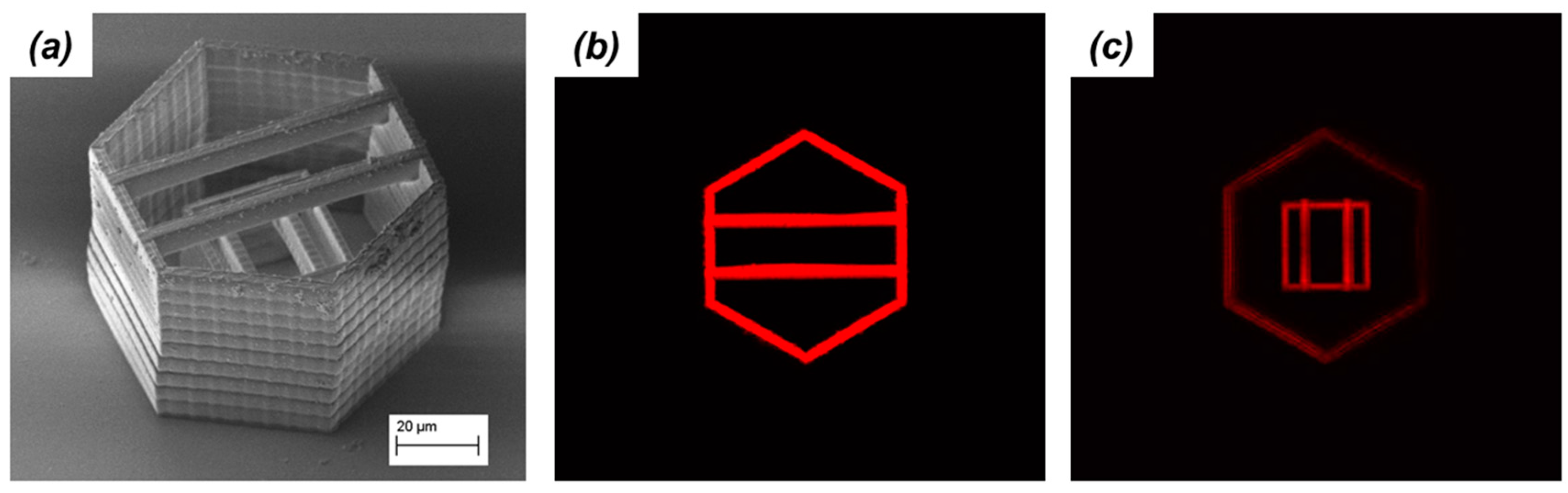 Micromachines 08 00101 g010 550