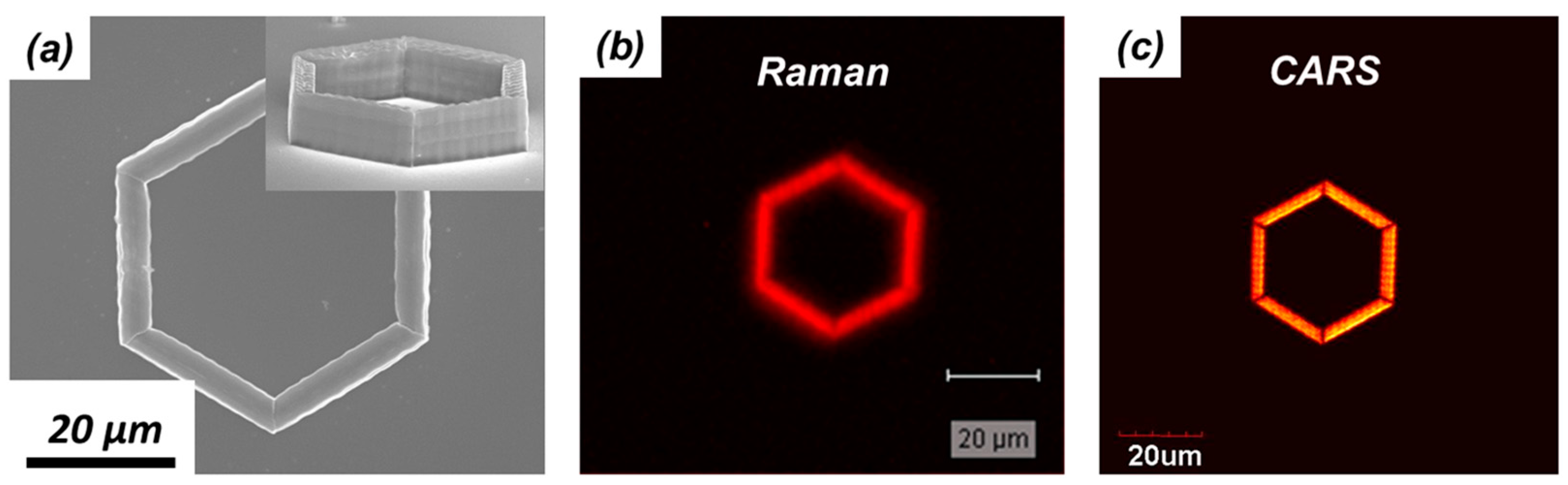 Micromachines 08 00101 g011 550