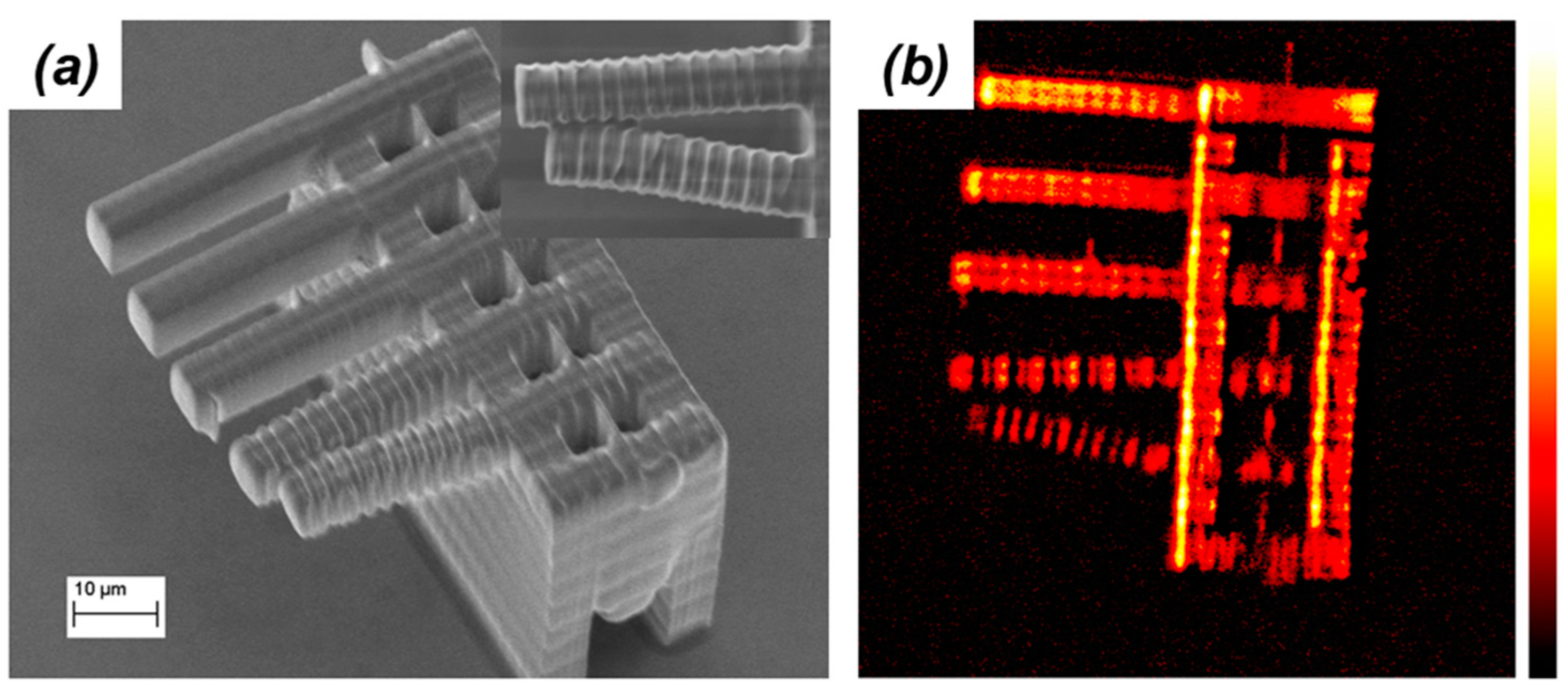 Micromachines 08 00101 g012 550