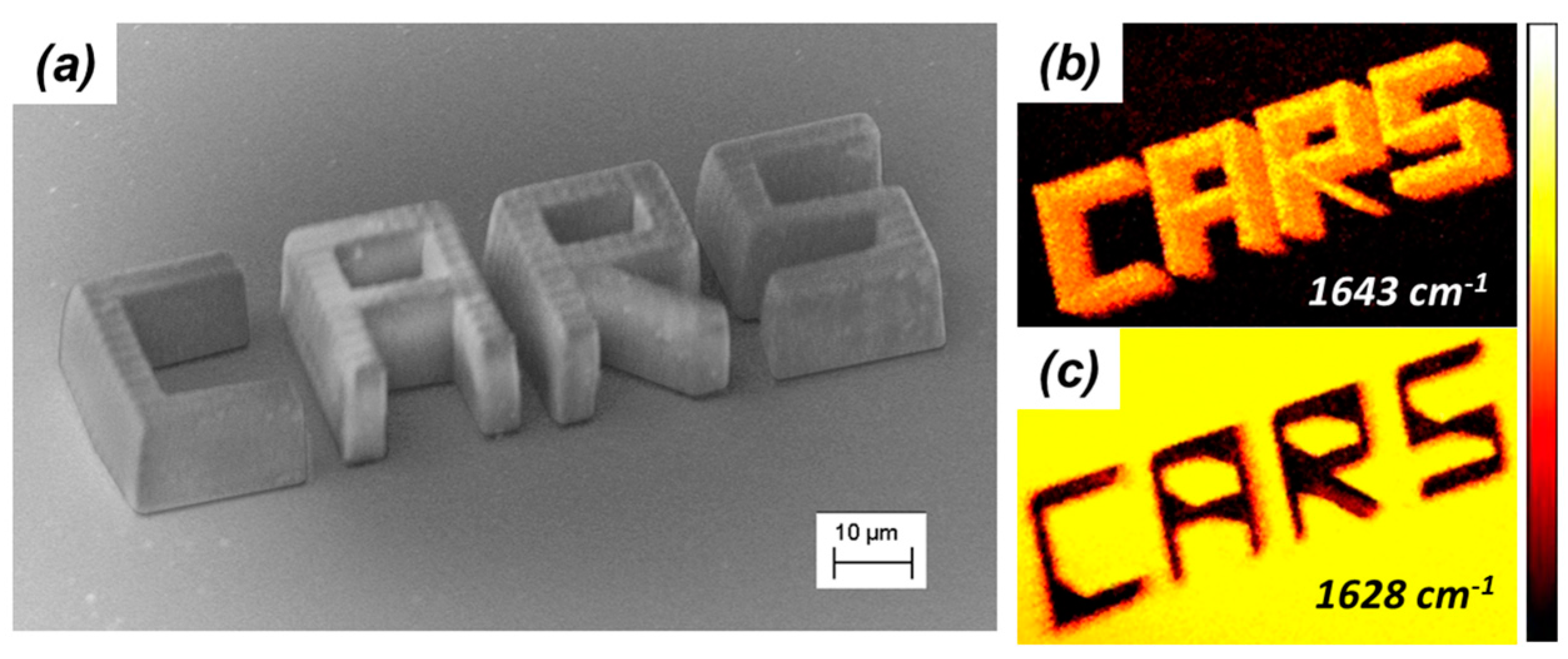 Micromachines 08 00101 g013 550