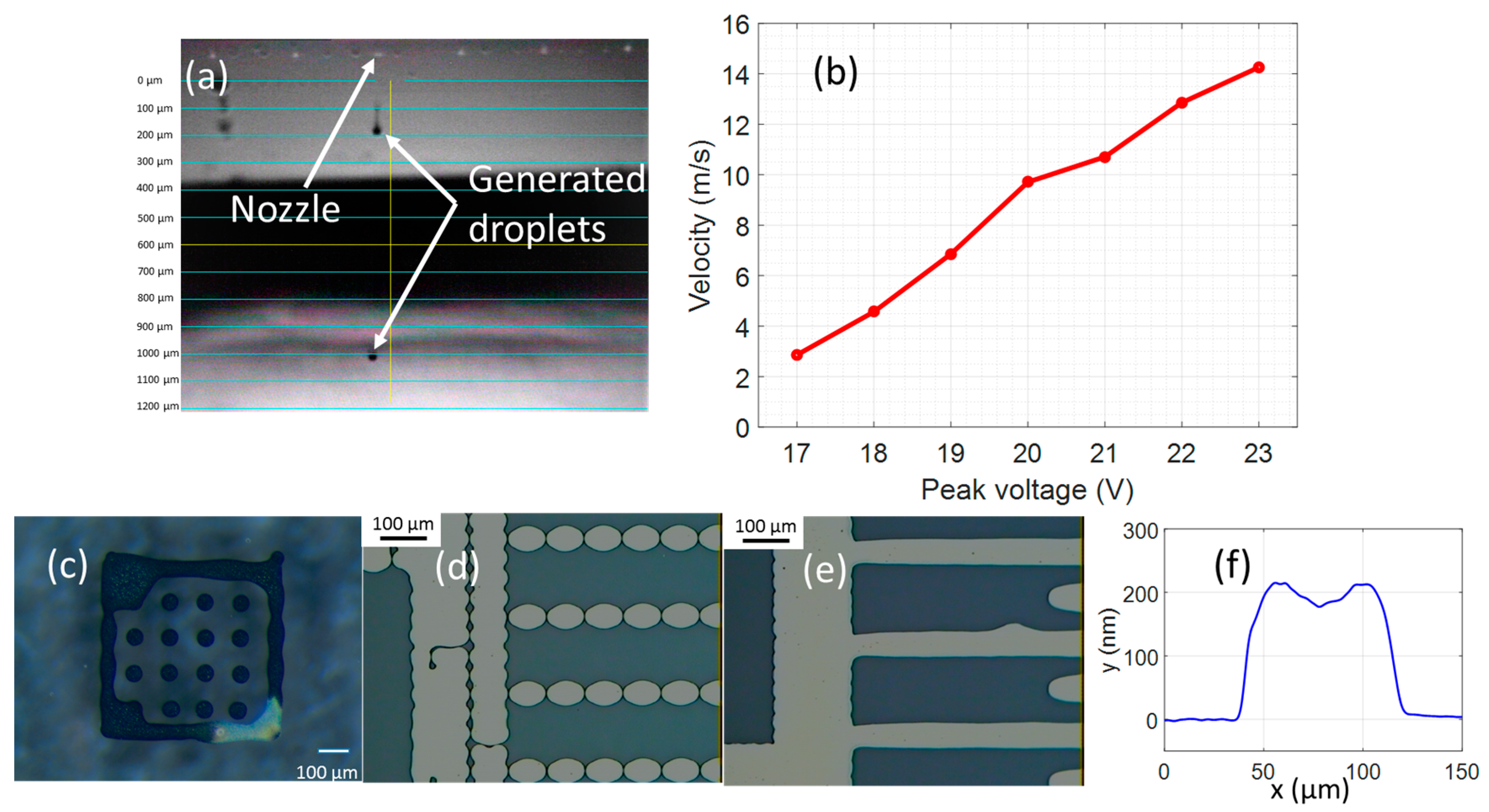 激安通販の Preparing AC for Arrays Microelectrode Interdigitated of その他