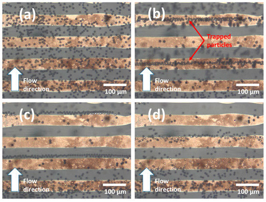 Preparing of Interdigitated Microelectrode Arrays for AC