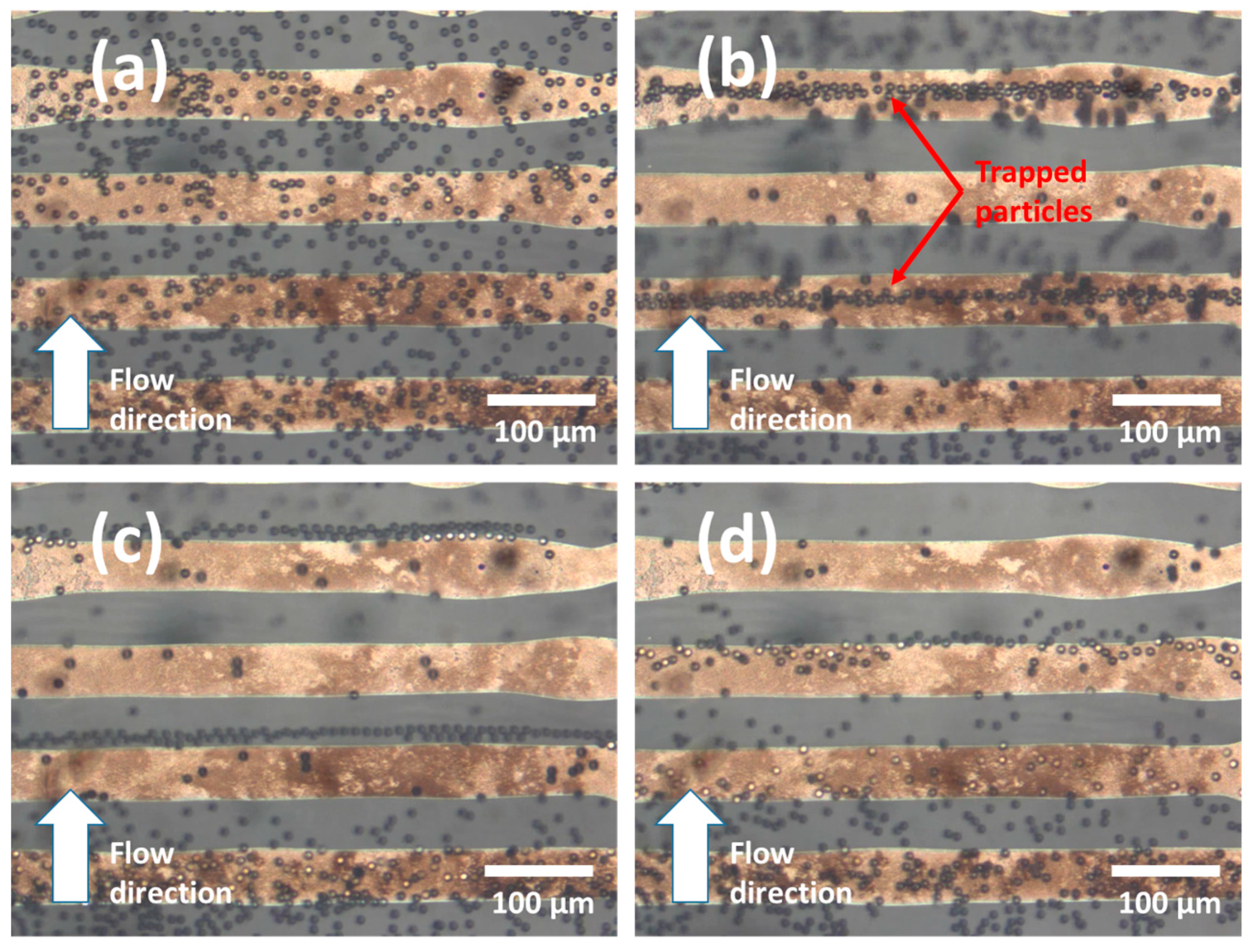 Micromachines 08 00106 g006 550